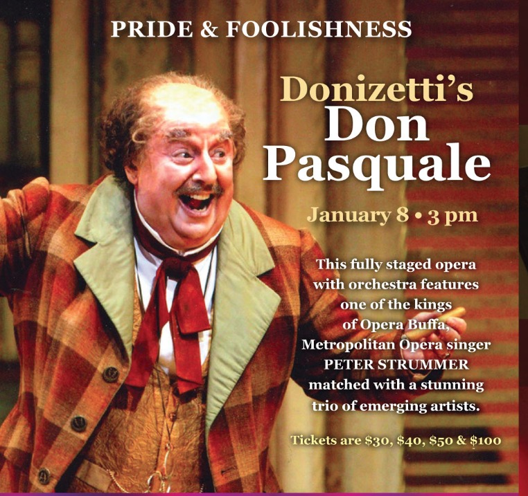 Ernesto in Don Pasquale with Vero Beach Opera
