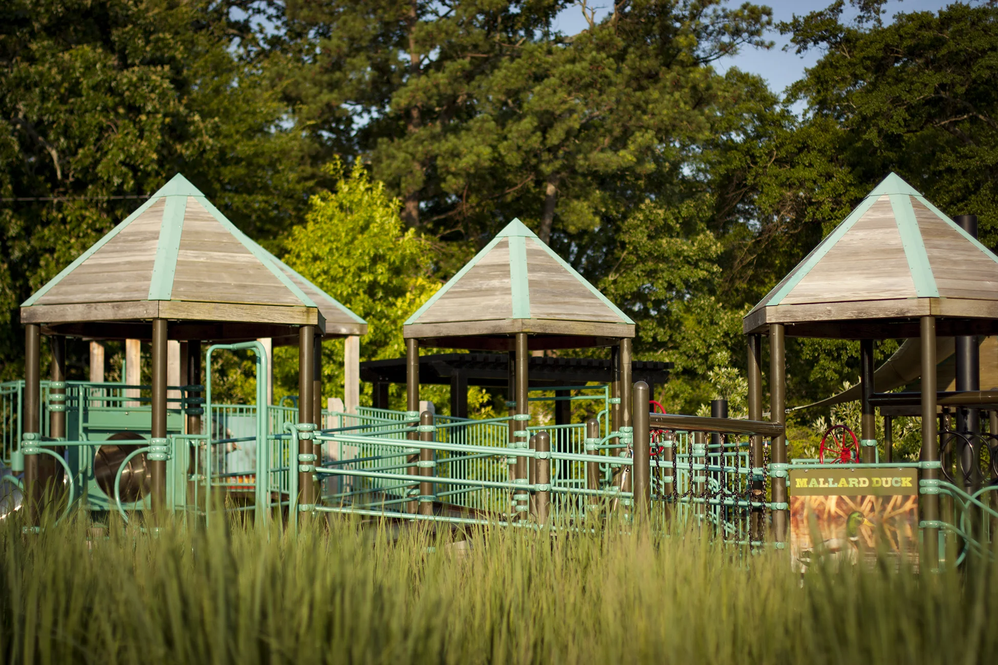 DP_PLAYGROUND_1.jpg