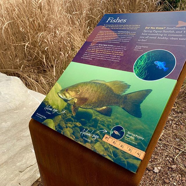 Please join us in Delano Park&rsquo;s RIVERWILD Garden to dedicate our new interpretive signage about the natural and cultural history of the Tennessee River next Thursday,&nbsp;&nbsp;October 10th, at 10:00 A.M.&nbsp;&nbsp;The purpose of the signage 