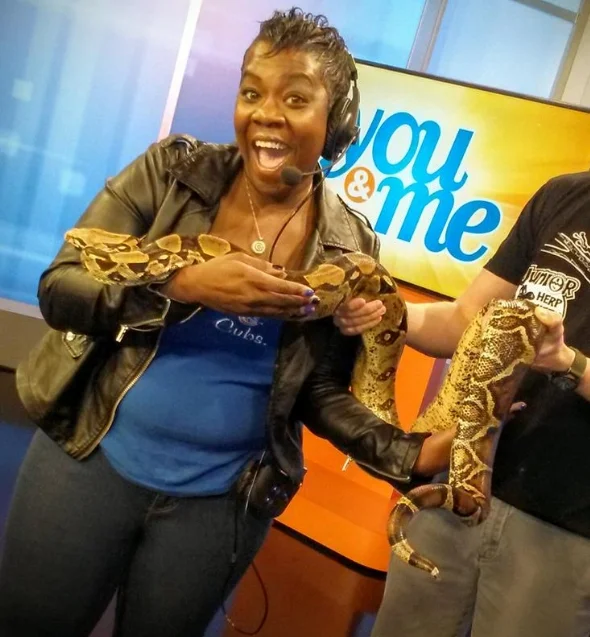 I'm not afraid of snakes anymore
