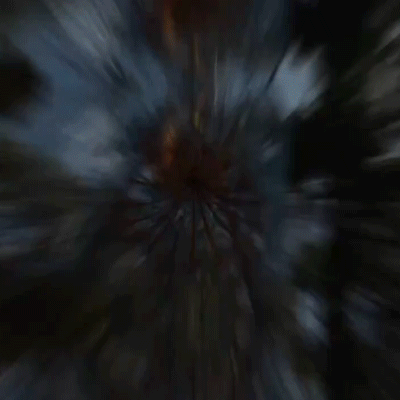 Latitude2017.gif