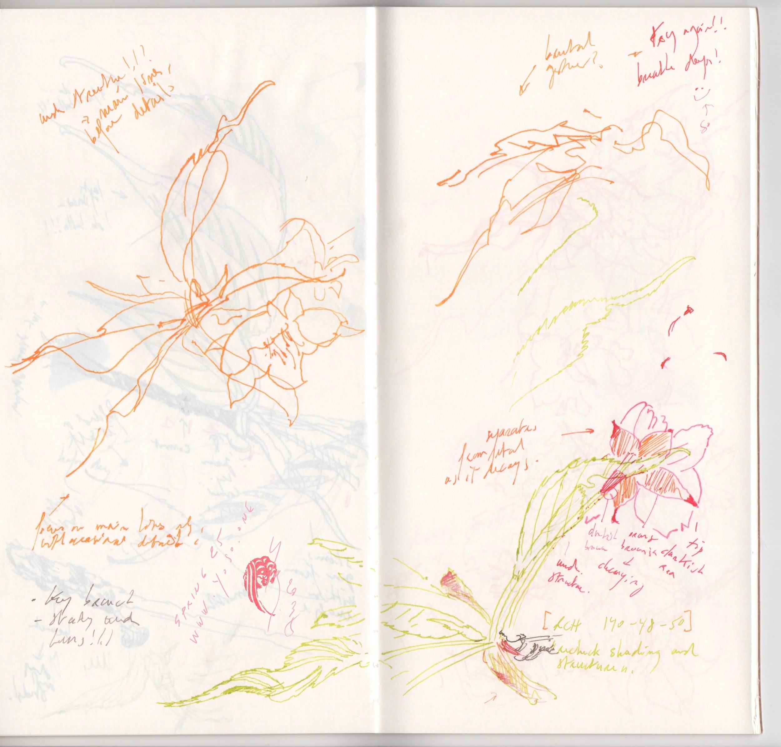 16_cherry_blossoms_skechbook_25_www_yoso_one_yoso_tattoo.jpg