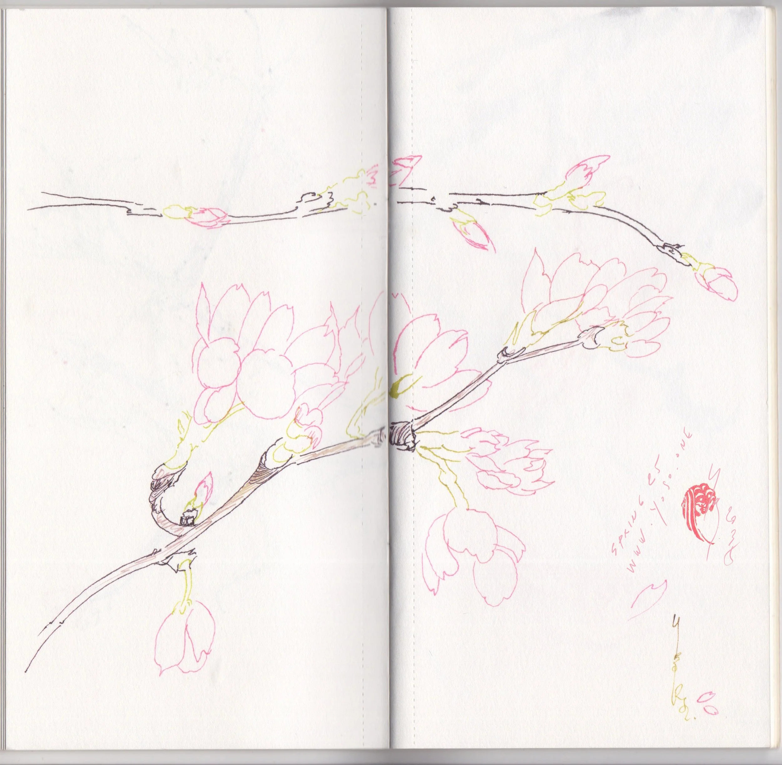 30_cherry_blossoms_skechbook_25_www_yoso_one_yoso_tattoo.jpg