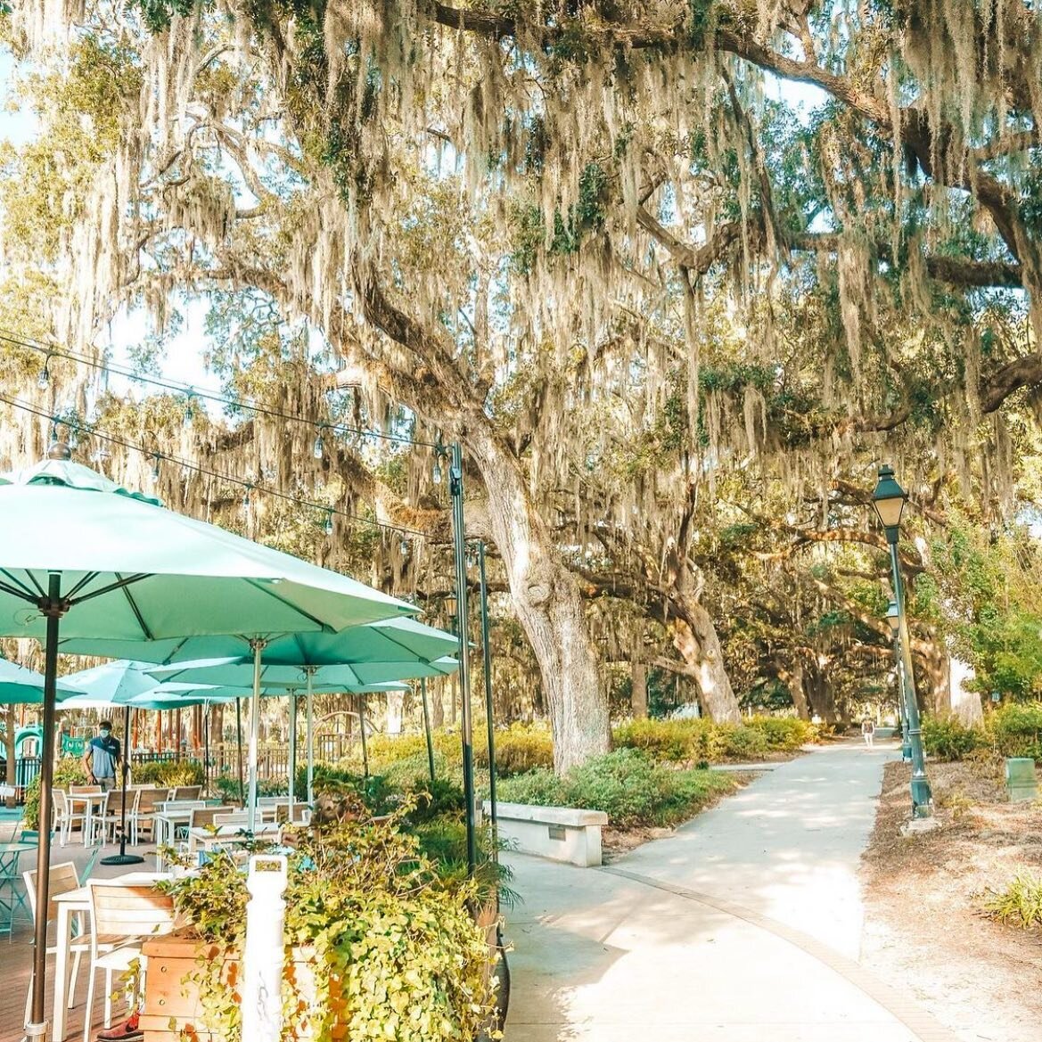 Join us tomorrow in celebrating ✨International Yoga Day✨ with Savannah's entire yoga community! Our own @jessiegulliver will join other local teachers in leading this fun, community-minded, free outdoor practice in Forsyth Park.
Class meets Tuesday 2