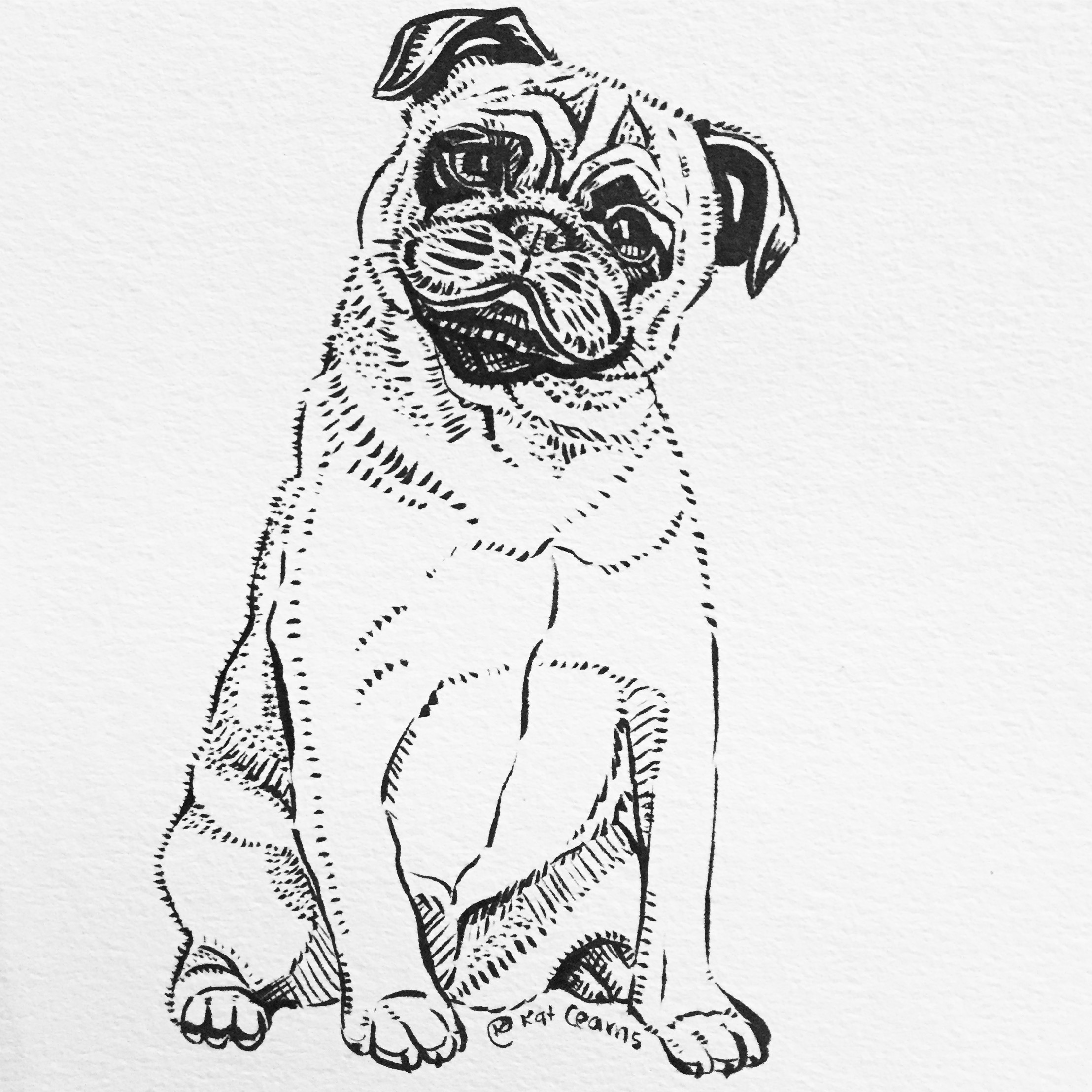 Pug Life