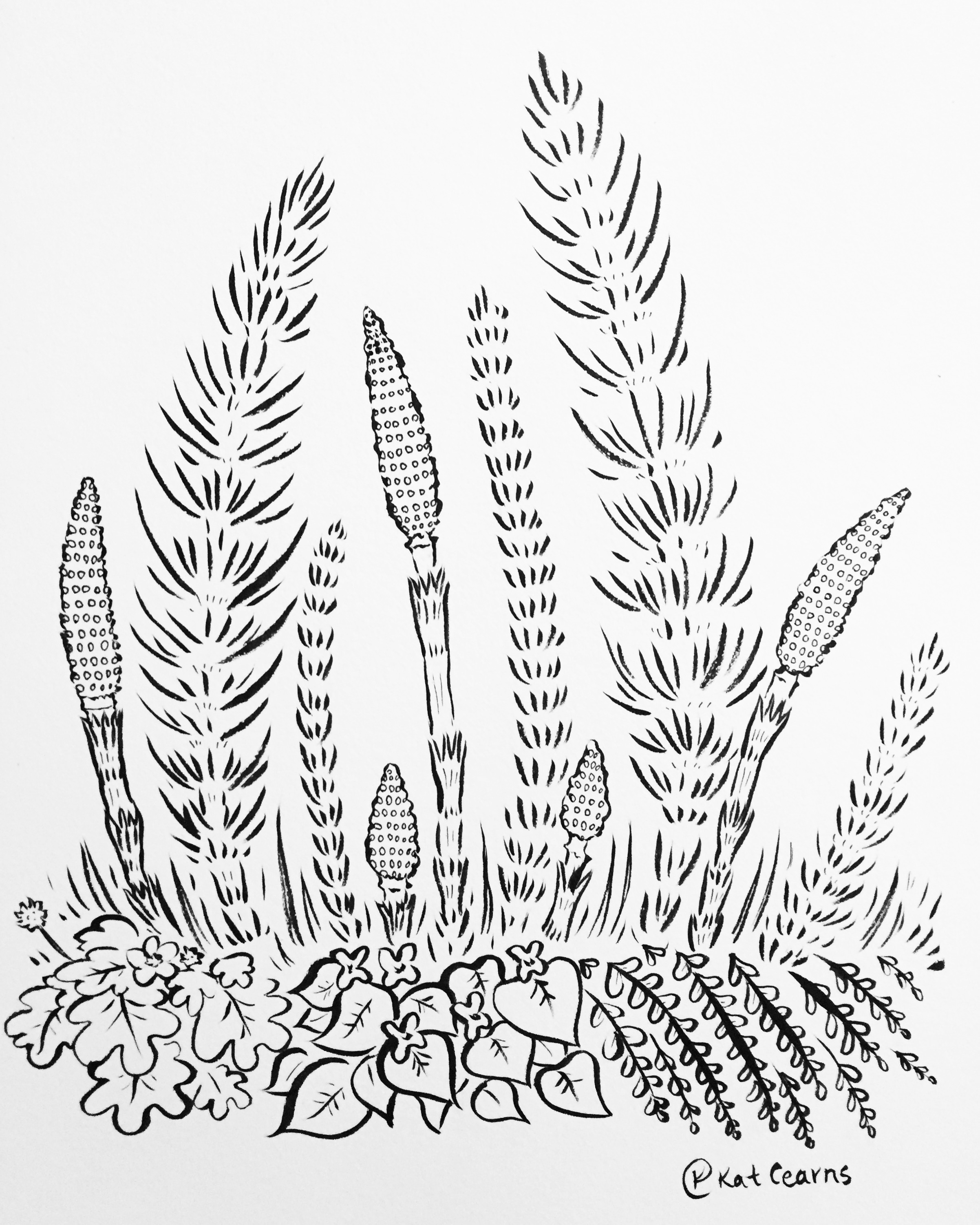 Horsetail Farm
