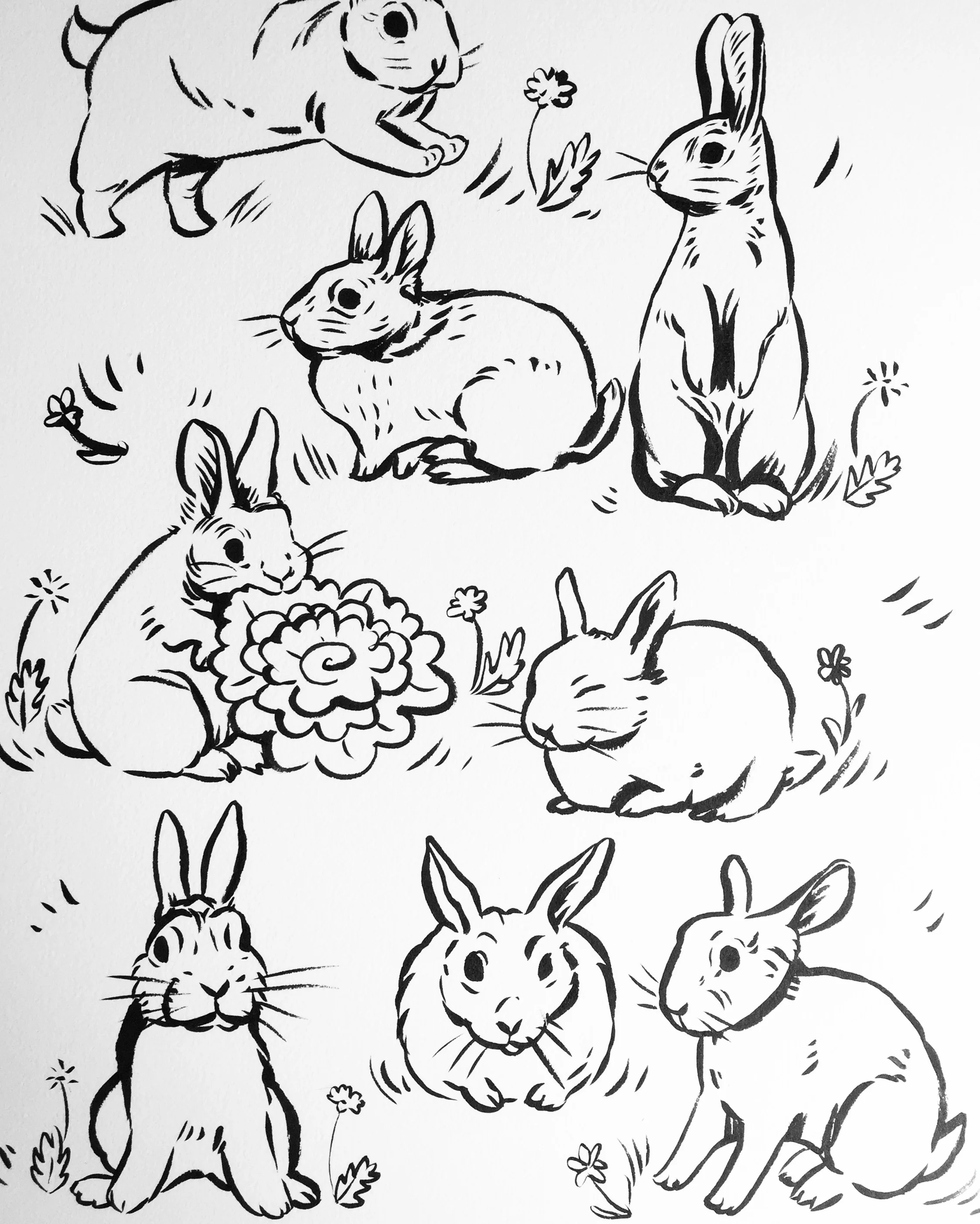 Binkies