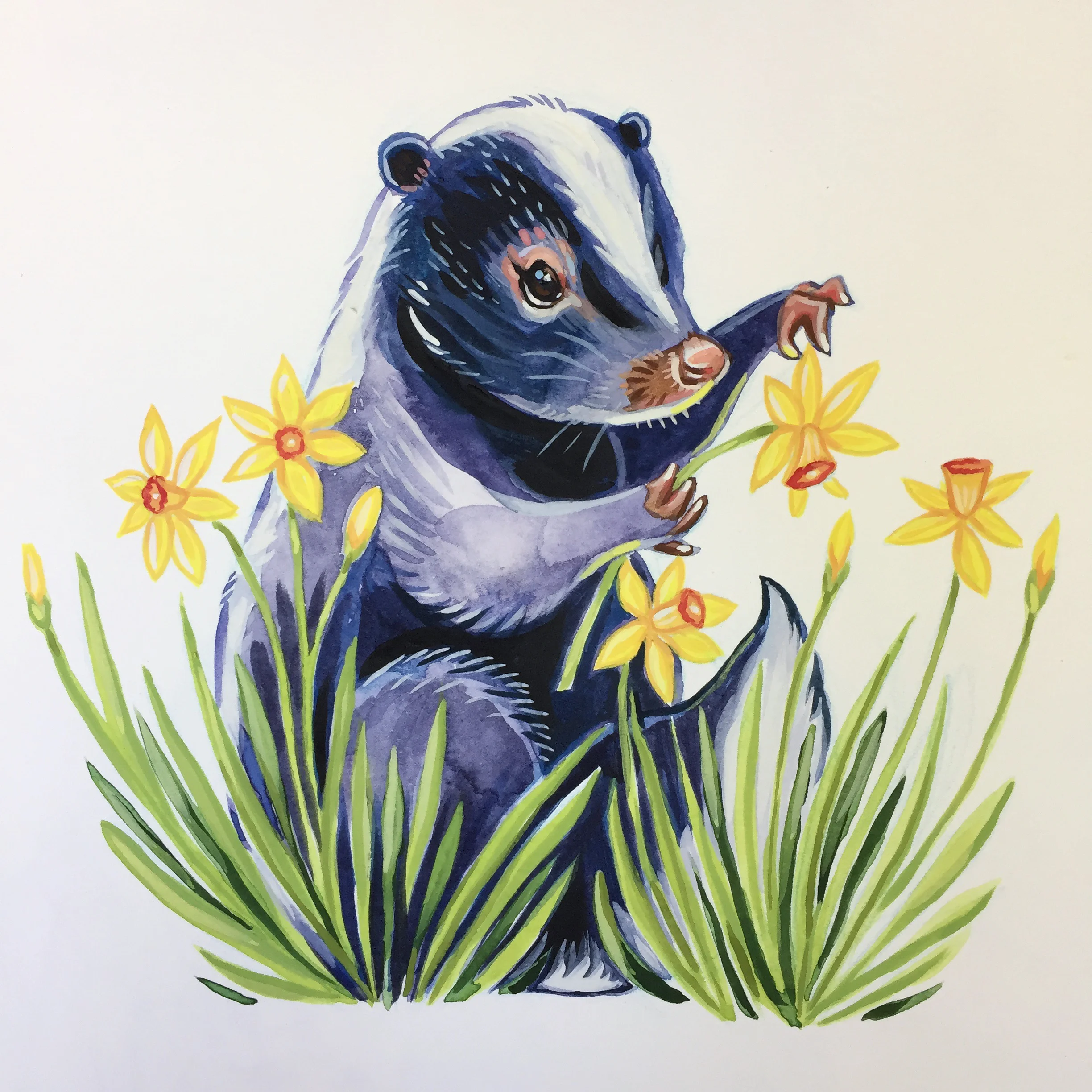 Daffodil Skunk