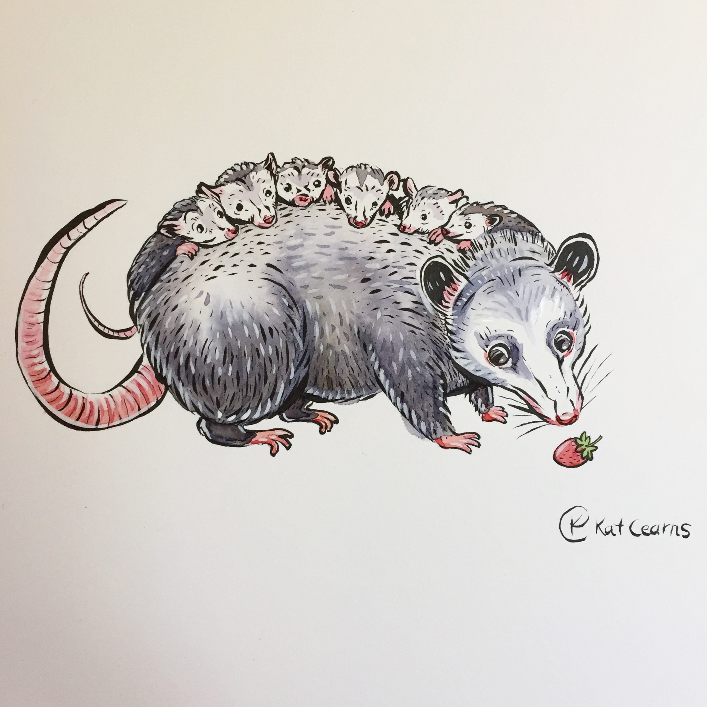 Momma Opossum with Pizzazz