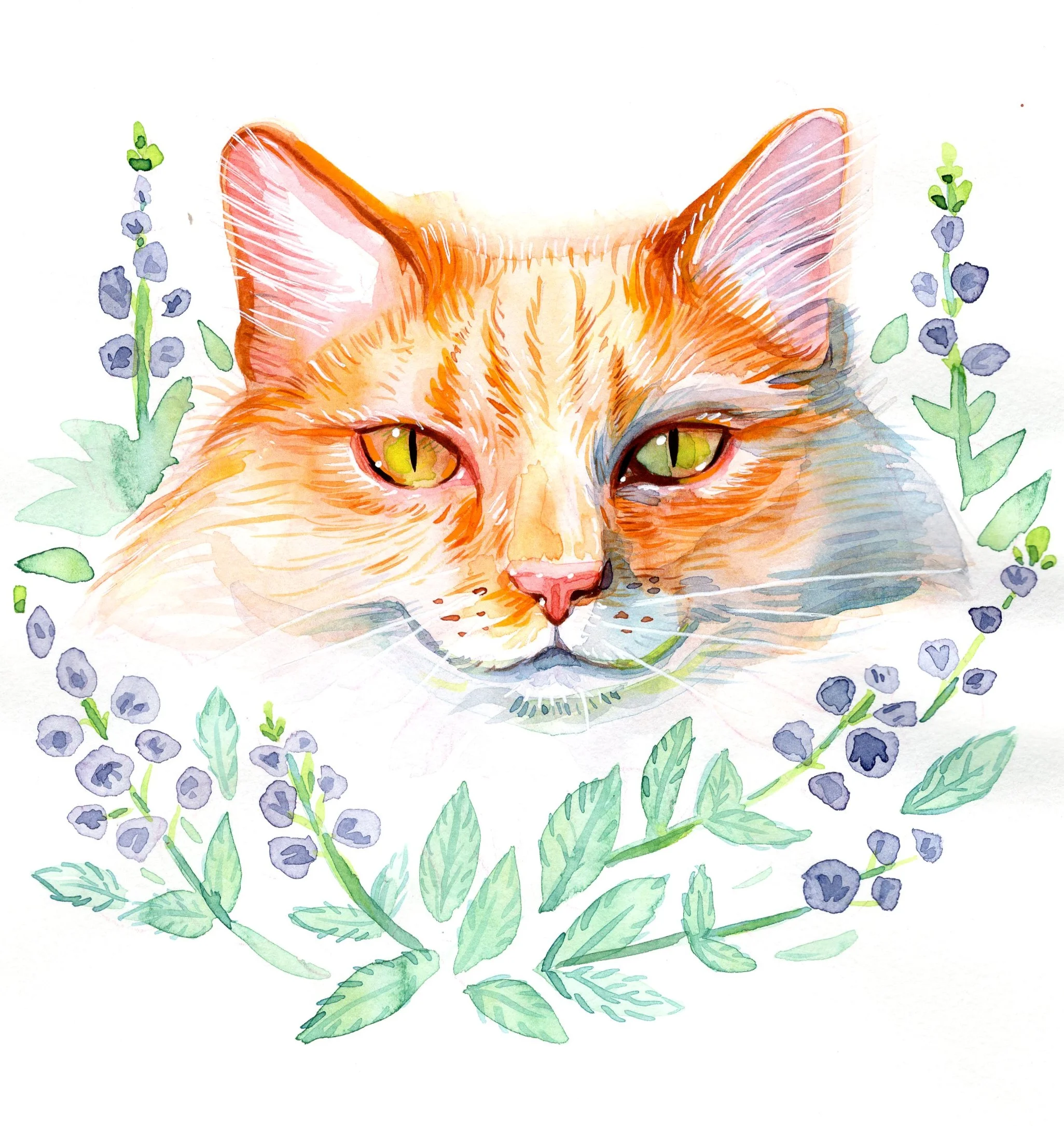 Pip and Nip