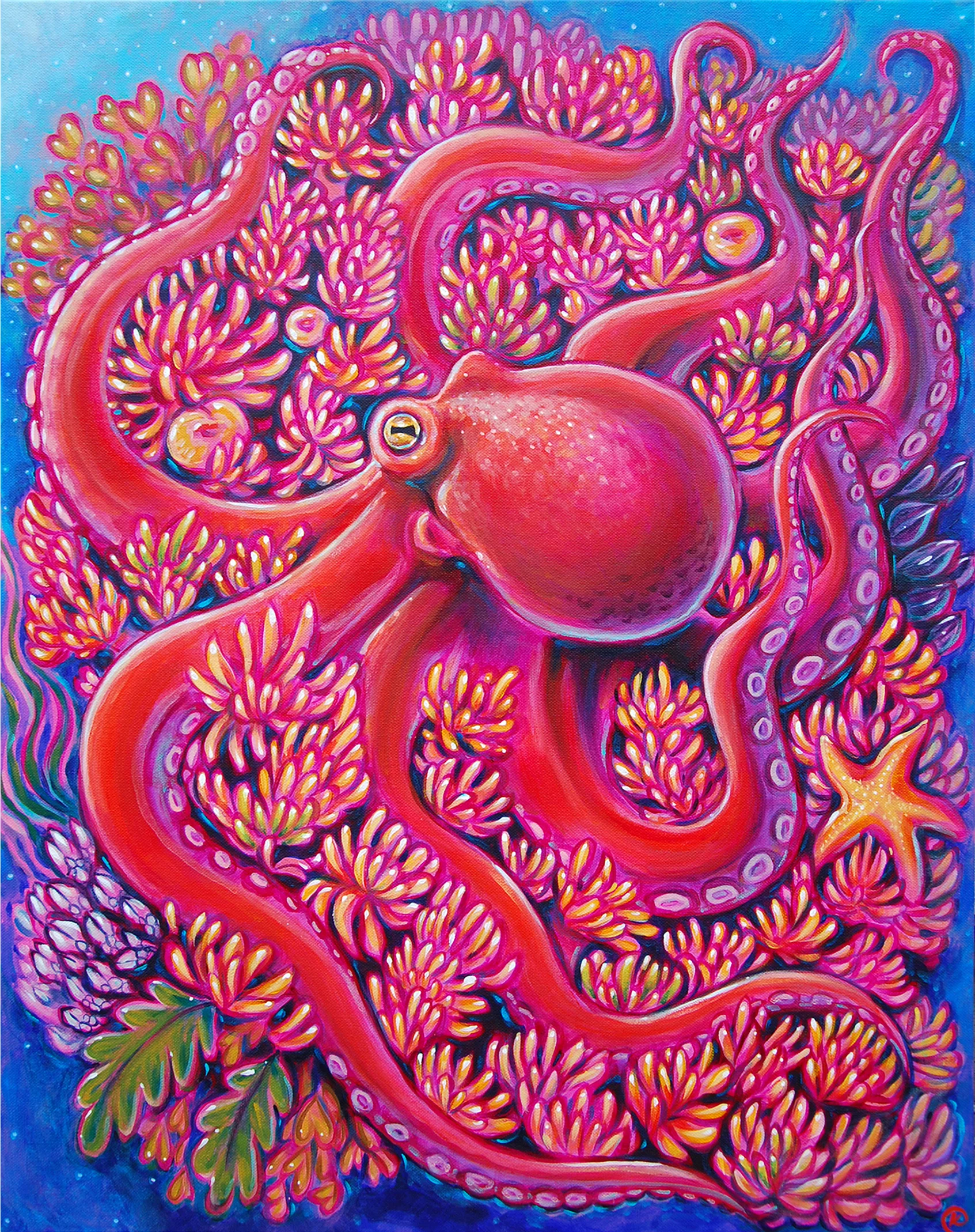Keep Your Friends Close (and Your Anemones Closer) 2019