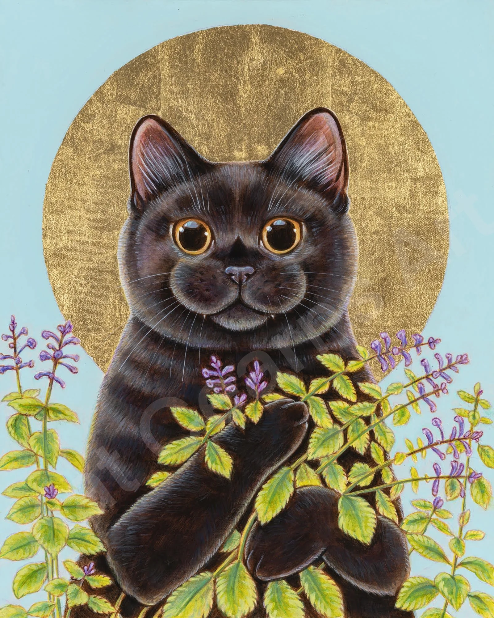 Patron Saint of Zoomies Paper Print