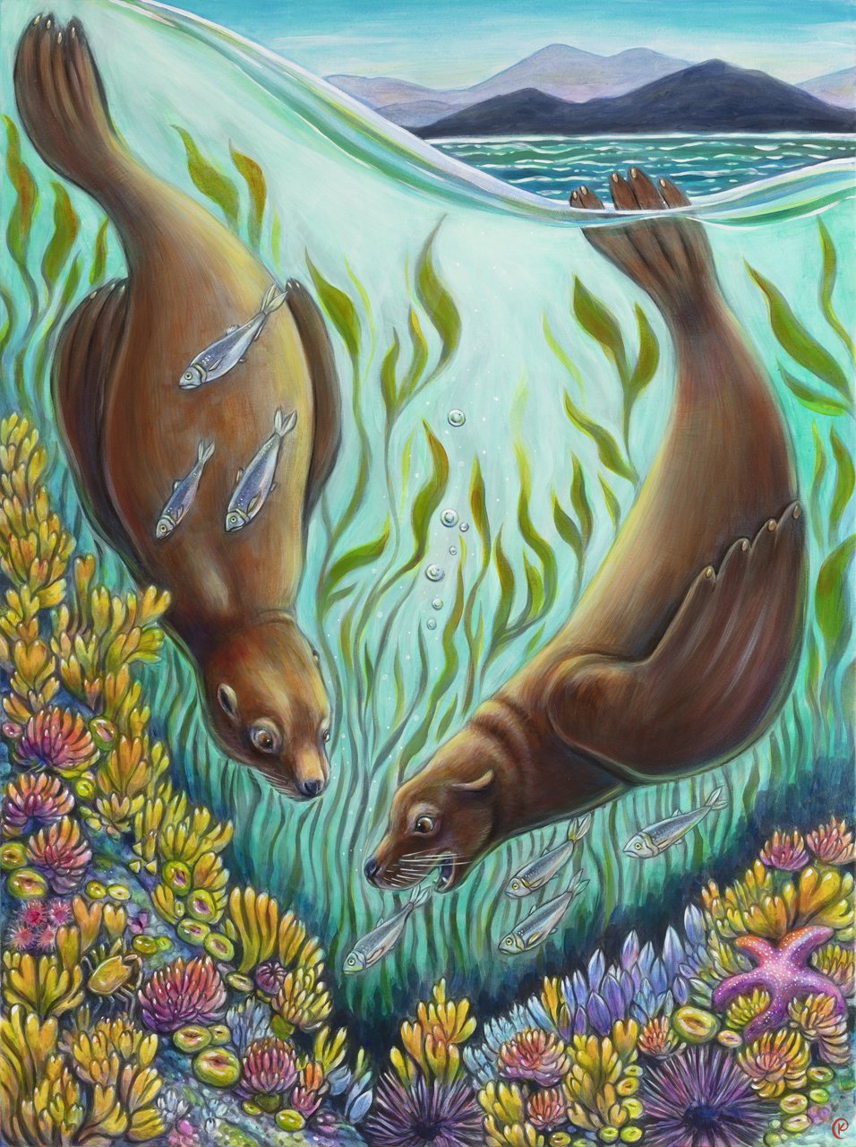 Two Seals 30x40-LowRes.jpg