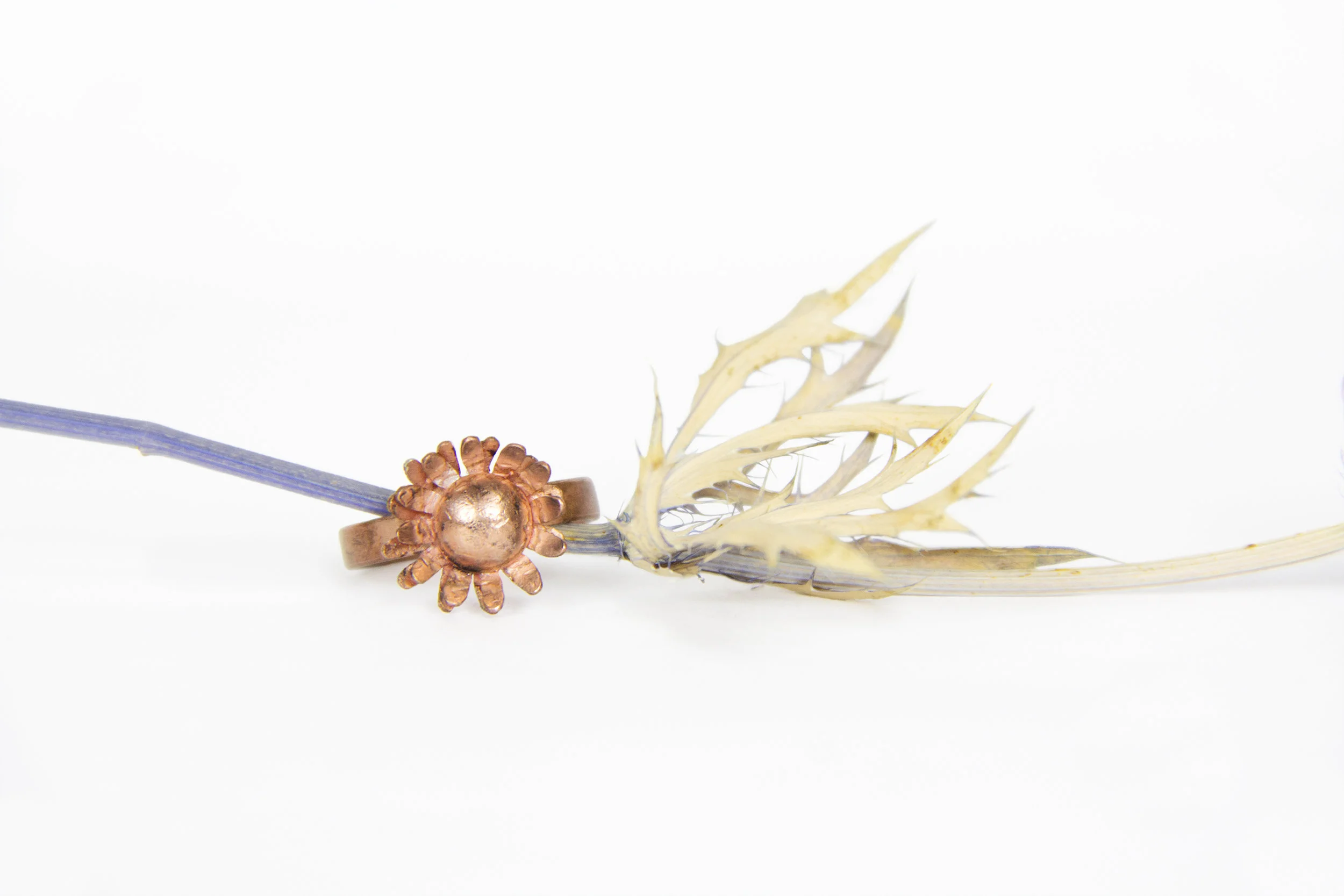 FlowerRingwTwig150.jpg