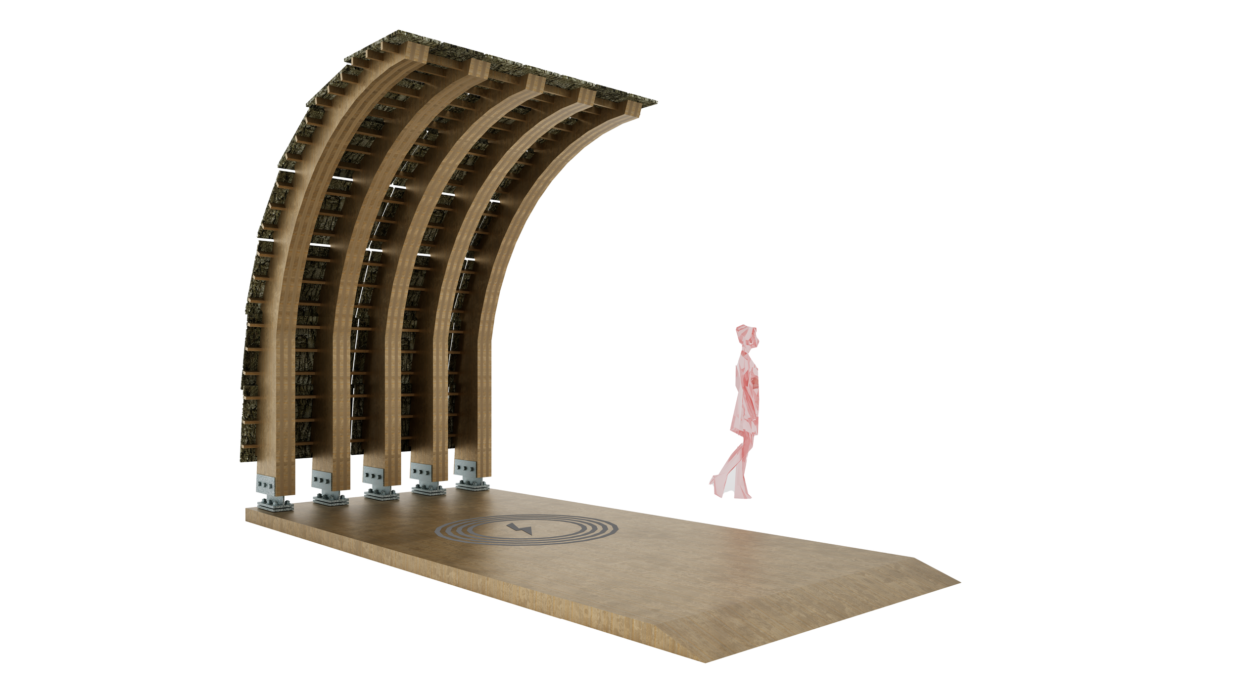 single canopy_CLT