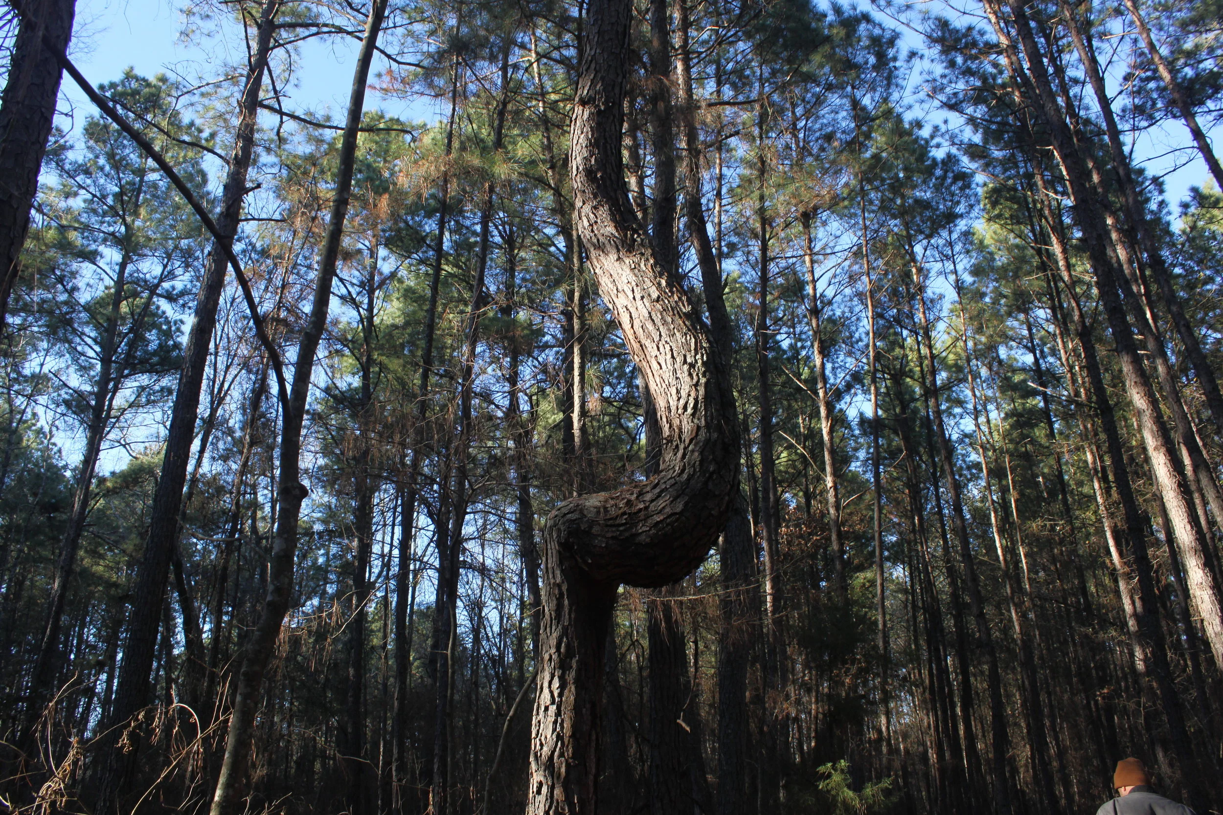 The Messy Middle 10.7.15