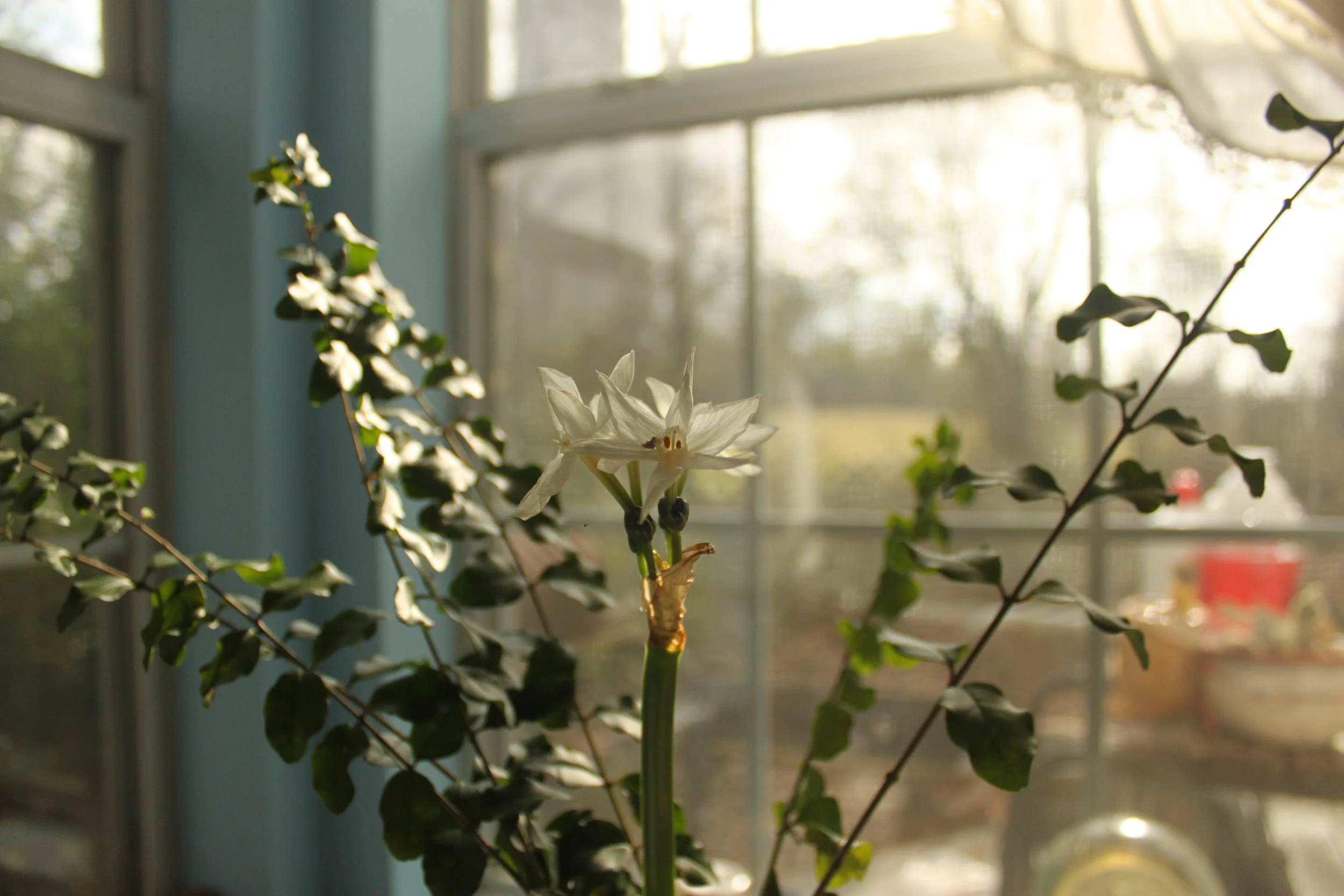 Daily Life with Health Challenges 2.1.16