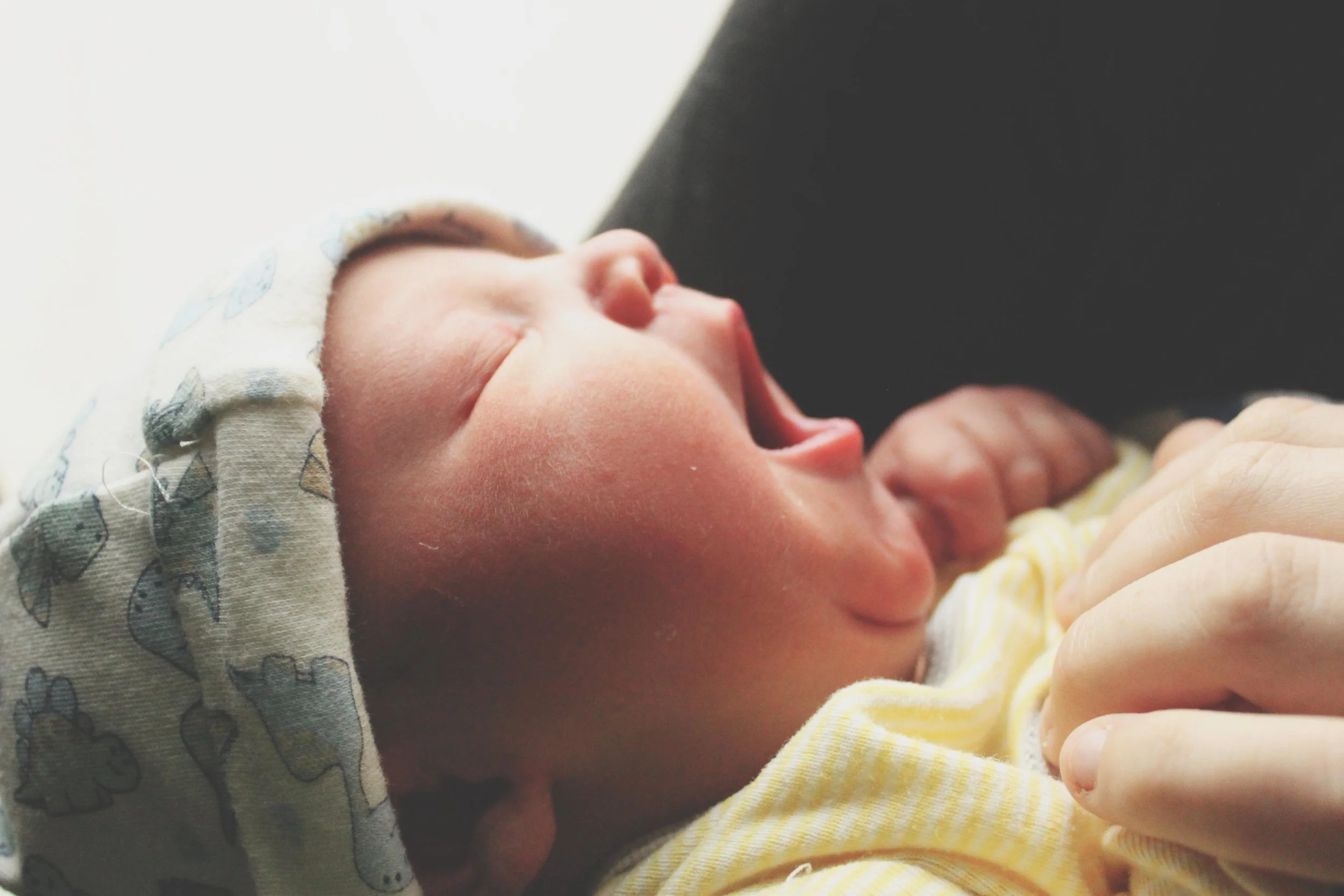 newborn4.jpg