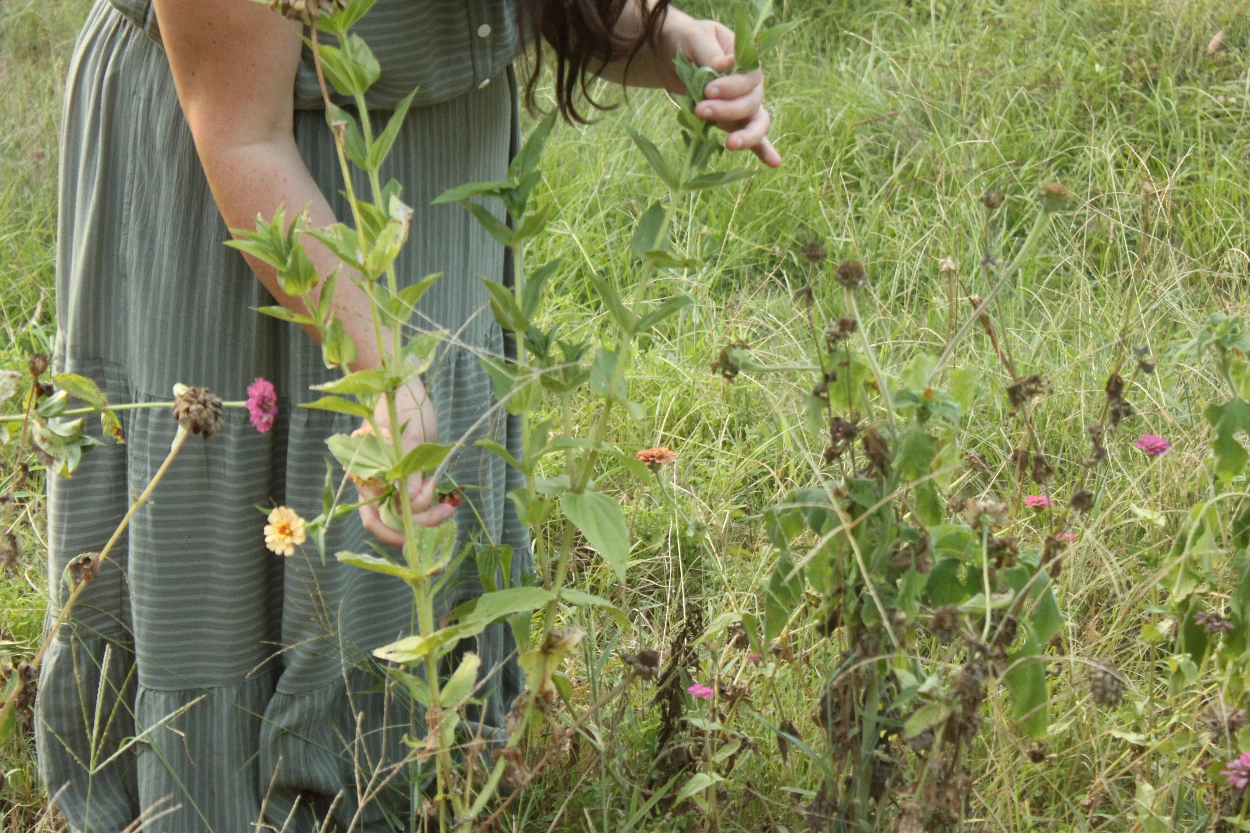 Picking flowers in the garden