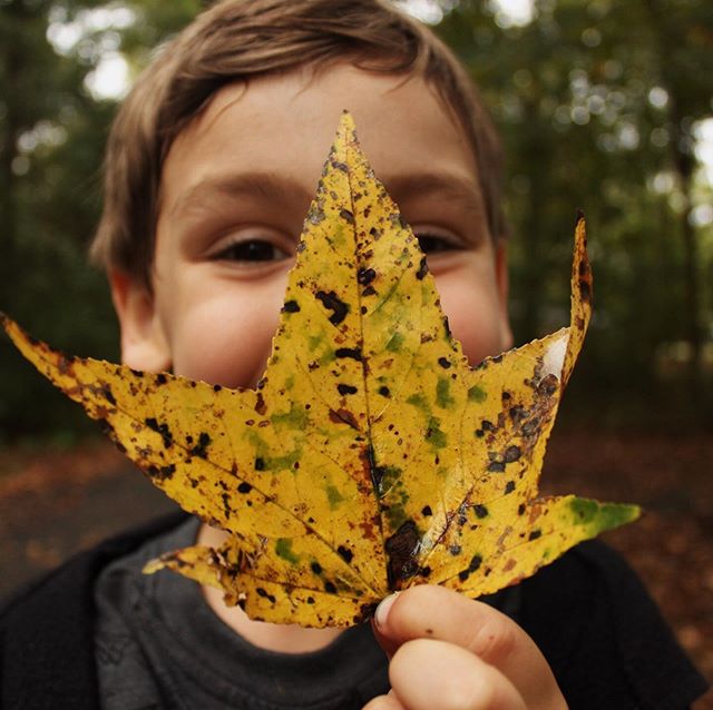 &ldquo;I&rsquo;m so glad I live in a world where there is October&rdquo;- anne of green gables. 🍂 but really I AM so glad I live in a world where there is you- Elijah 💛 my beautiful brown eyed wide eyed light bringer 💫✨ we got his first &ldquo;rep