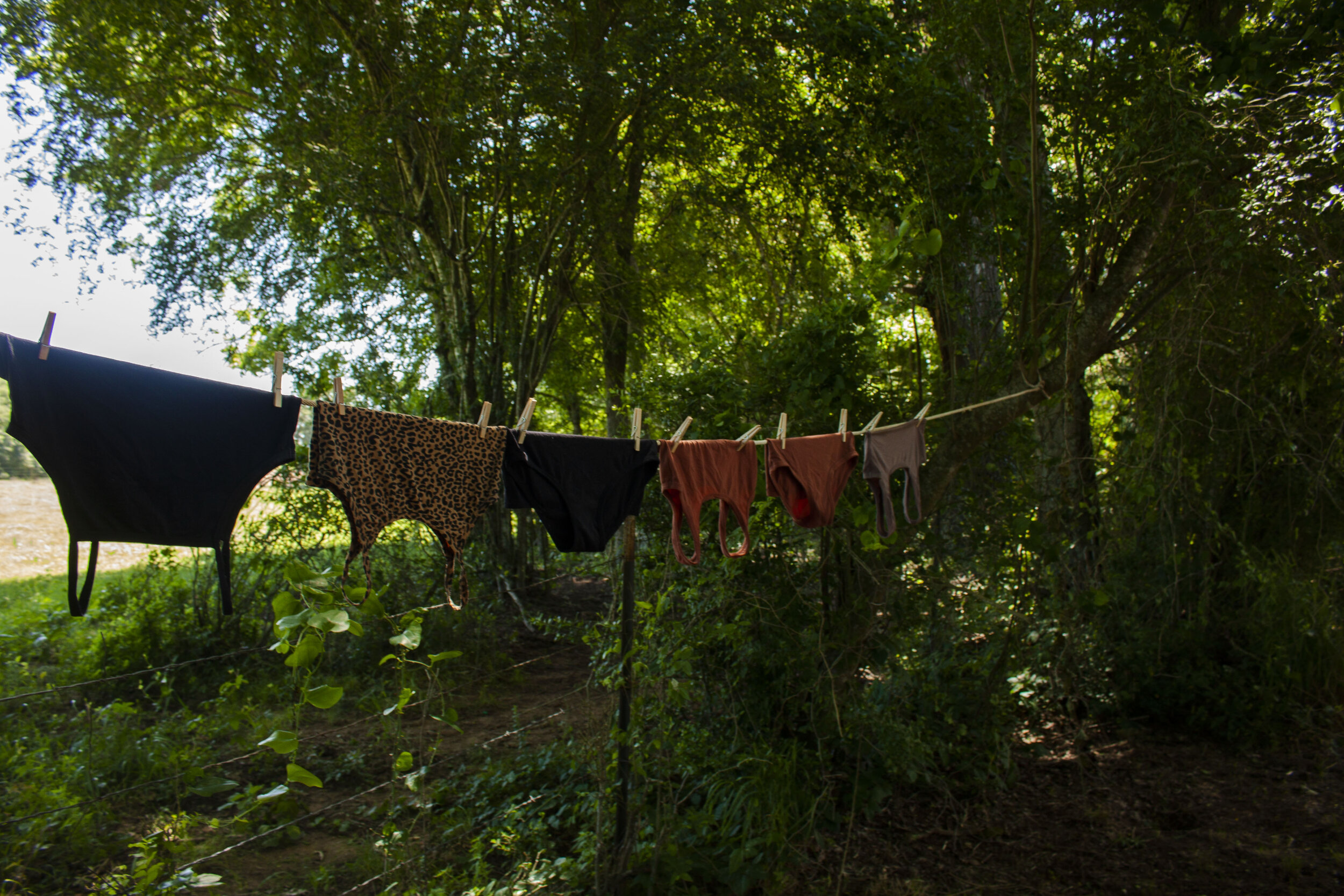 Mothers day laundry line.jpg