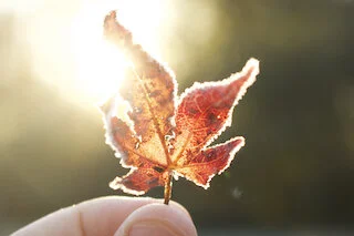 Image by The Blessed Little Life