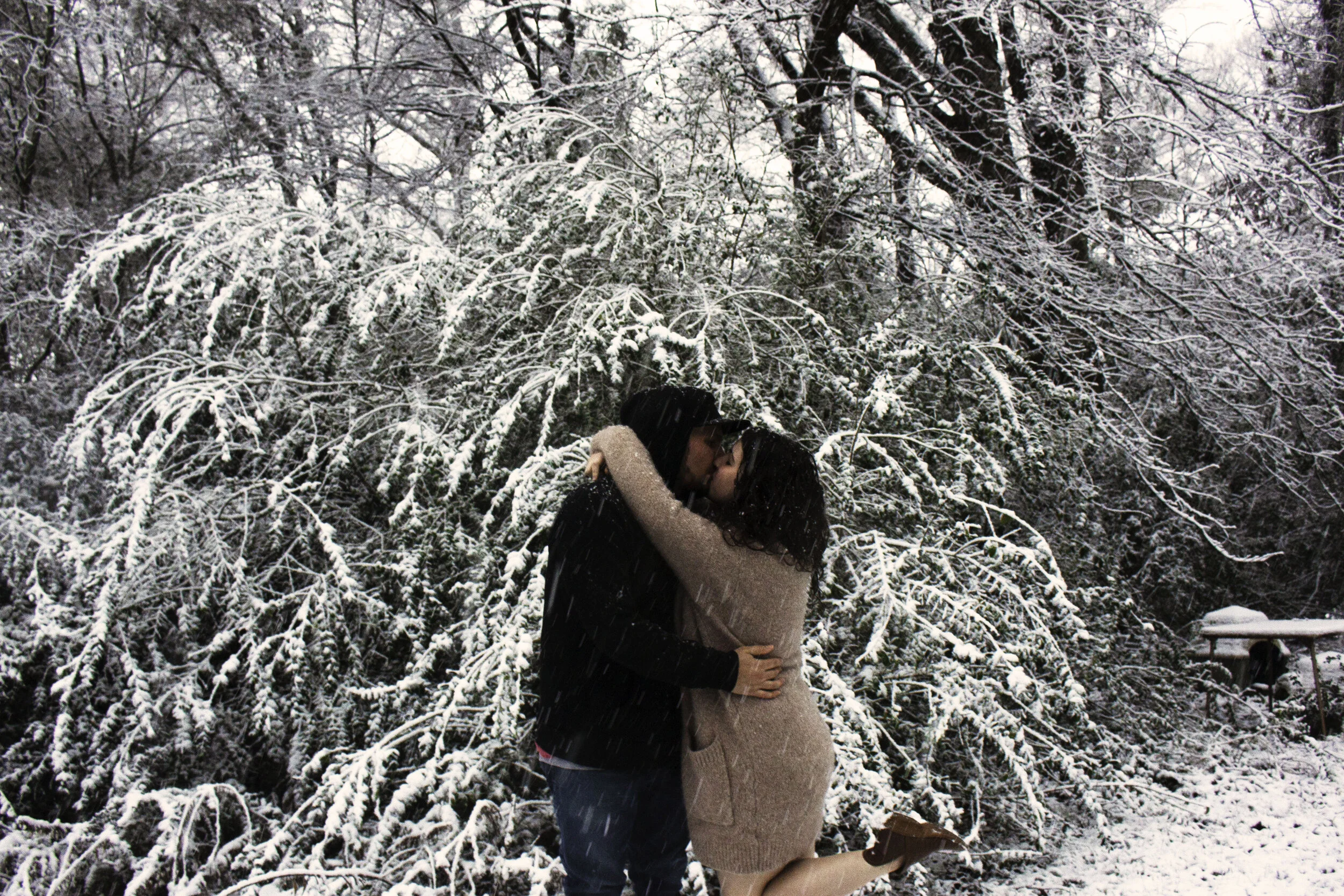 Balance and Love  