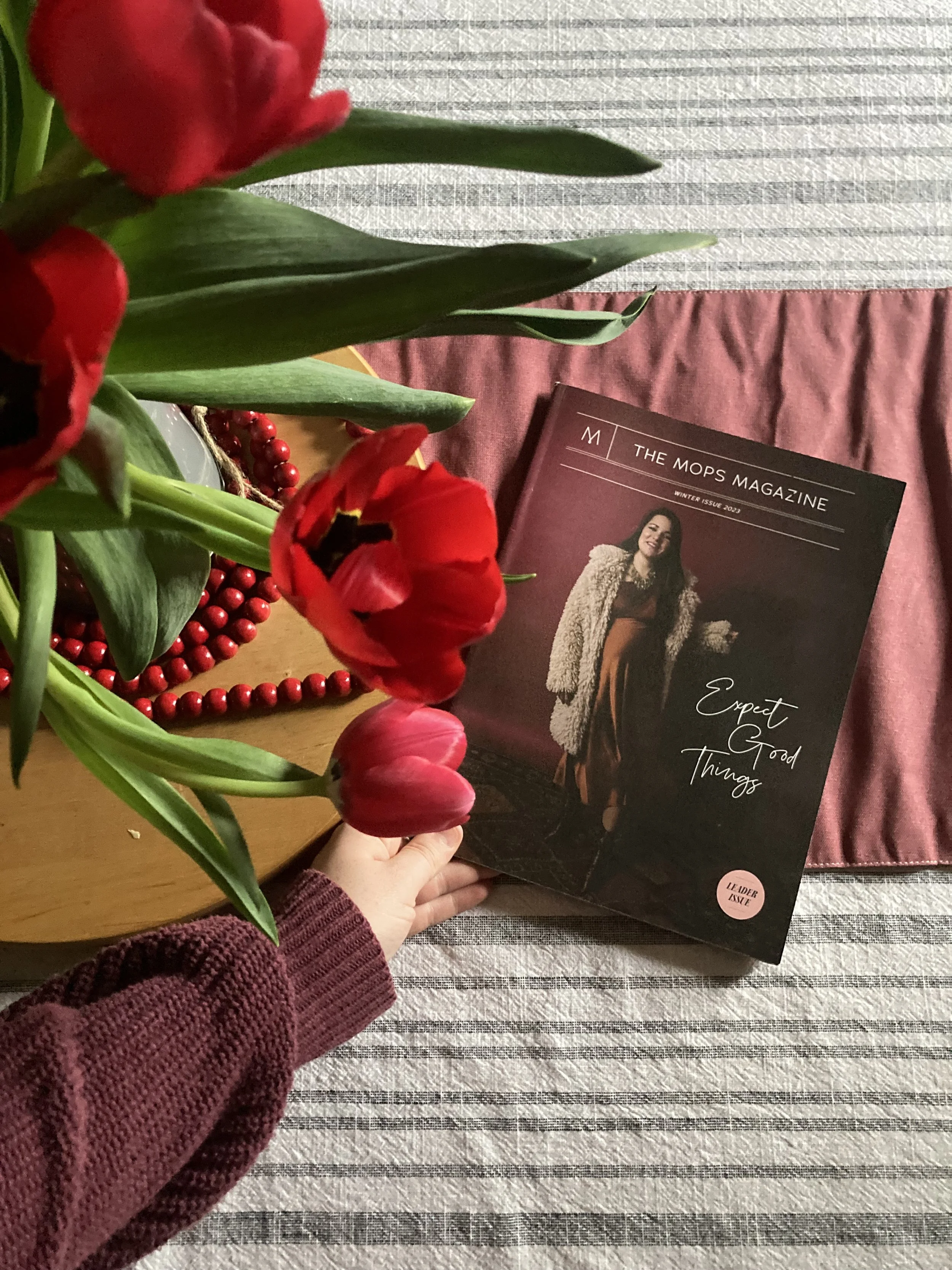 Contributor for the MOPS Magazine Winter 2023 issue! 