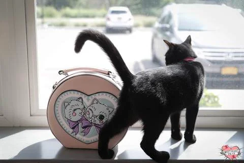 Cats Like Us - Sweetheart Pinup