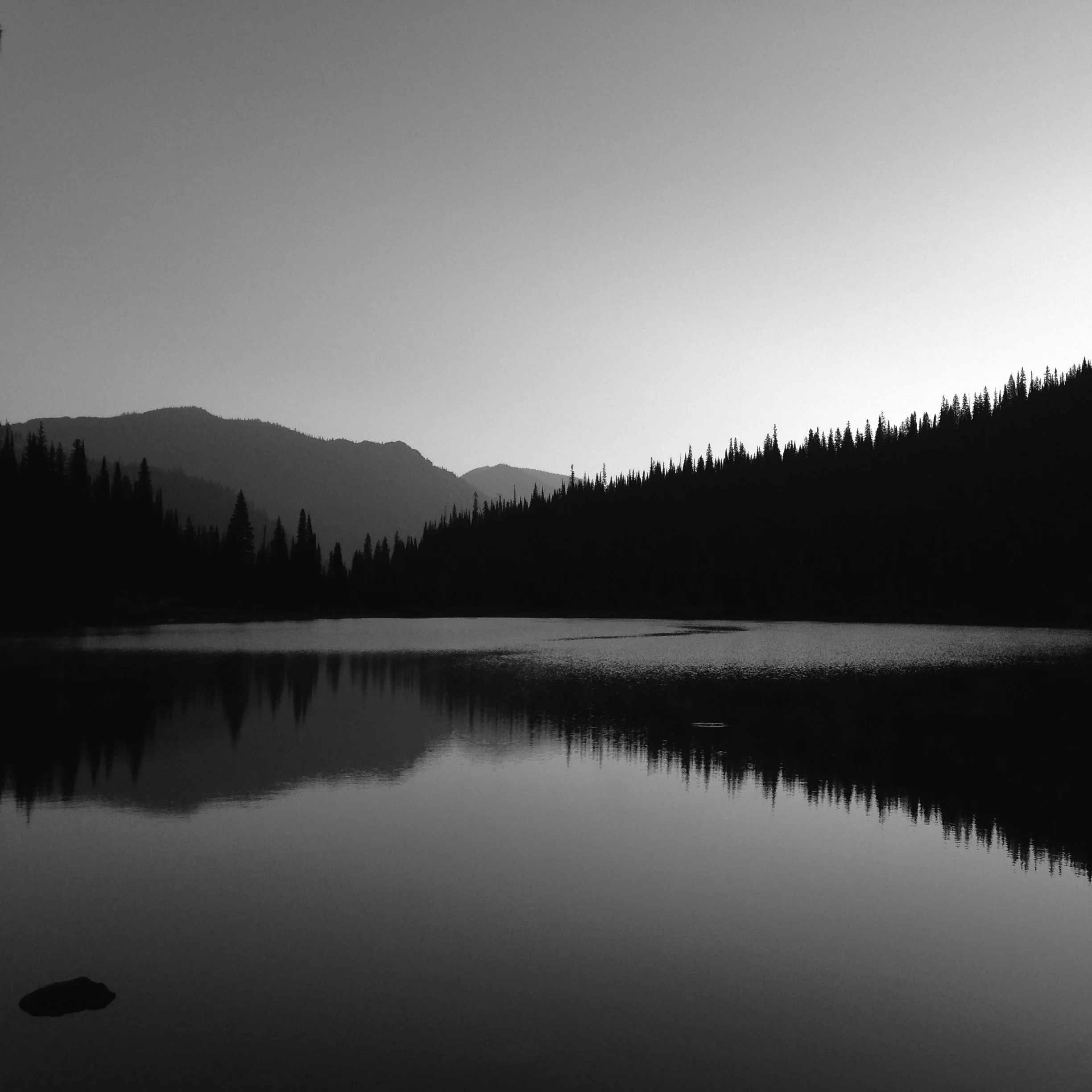 2017-07-19 07.08.19_bw.jpg