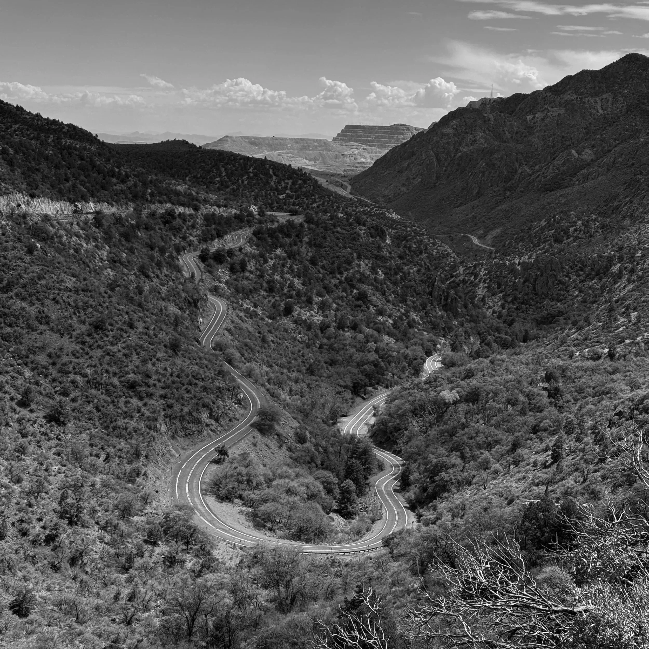 2025-07-05 14.23.14_BW.jpg