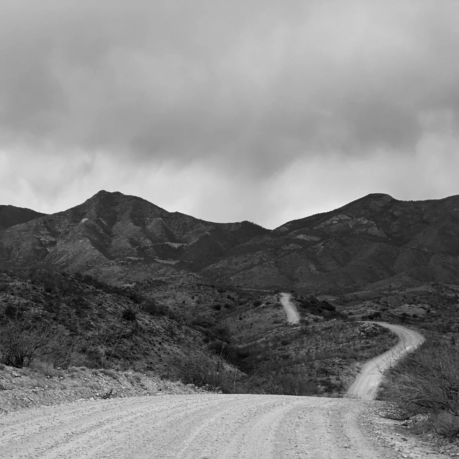 0012_bw.jpg