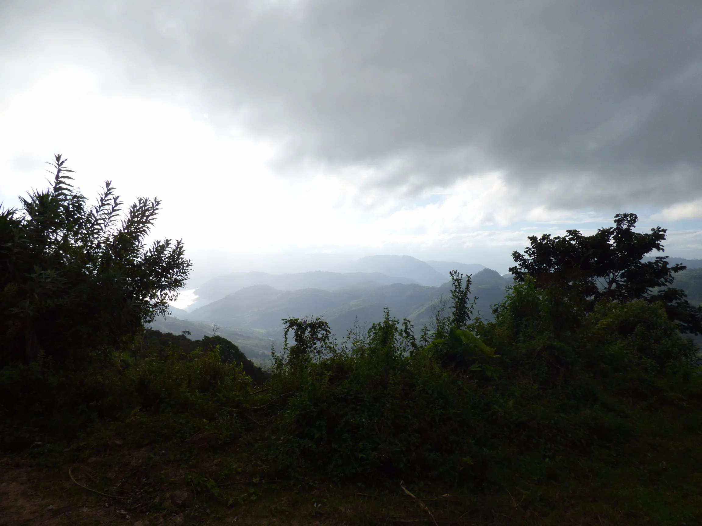 P1000389.jpg