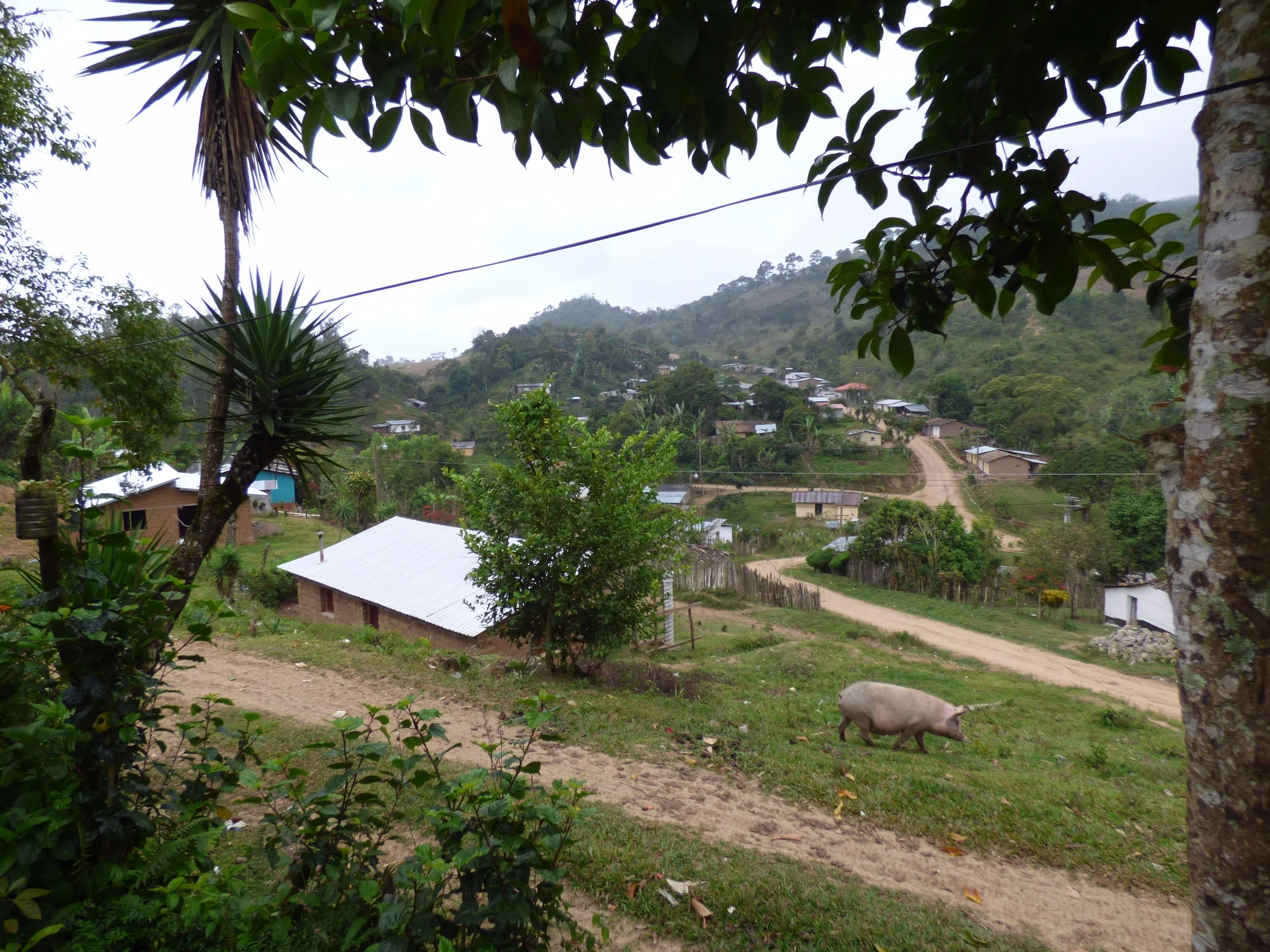 P1000391.jpg