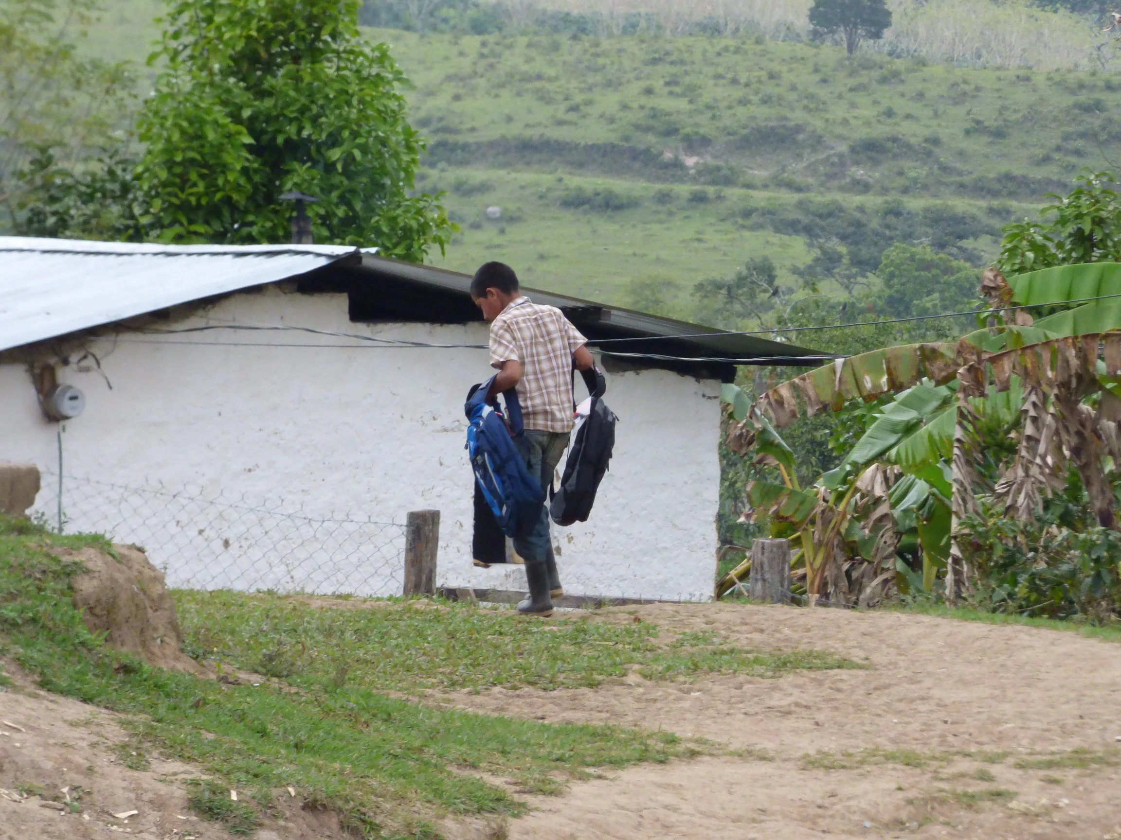 P1000449.jpg