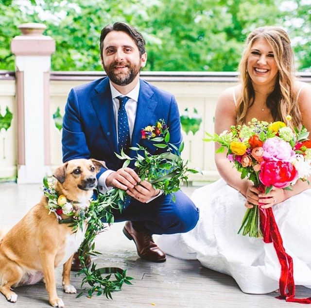 Doggies get glam too for @costamagna_design weddings.
.
.
#floraldesign #popofcolor #costamagnadesignweddings #chautauquawedding #letcreativitybloom