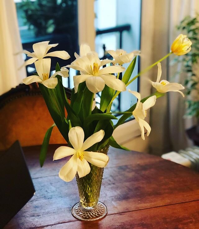 Reflected tulips. They also at look like a different flower. Tulips love to reach for the light and they grow taller even after they&rsquo;re cut. A lesson for life #tulips #floraldesigner