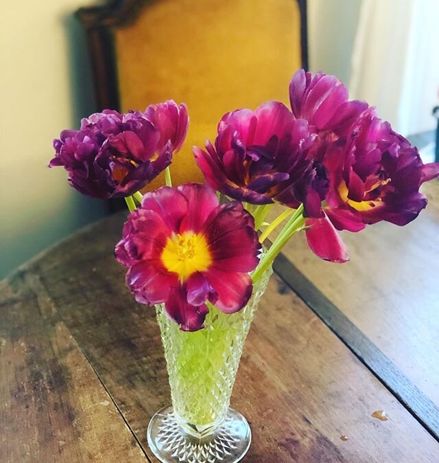 Another one in the series of reflected tulips. With the last of available flowers, I was happy to find these at my local supermarch&eacute;. #floraldesigner #frenchtulips #reflectingflowers #afloristinparis