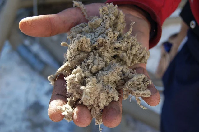 CELLULOSE_BLOW_INSULATION.jpg