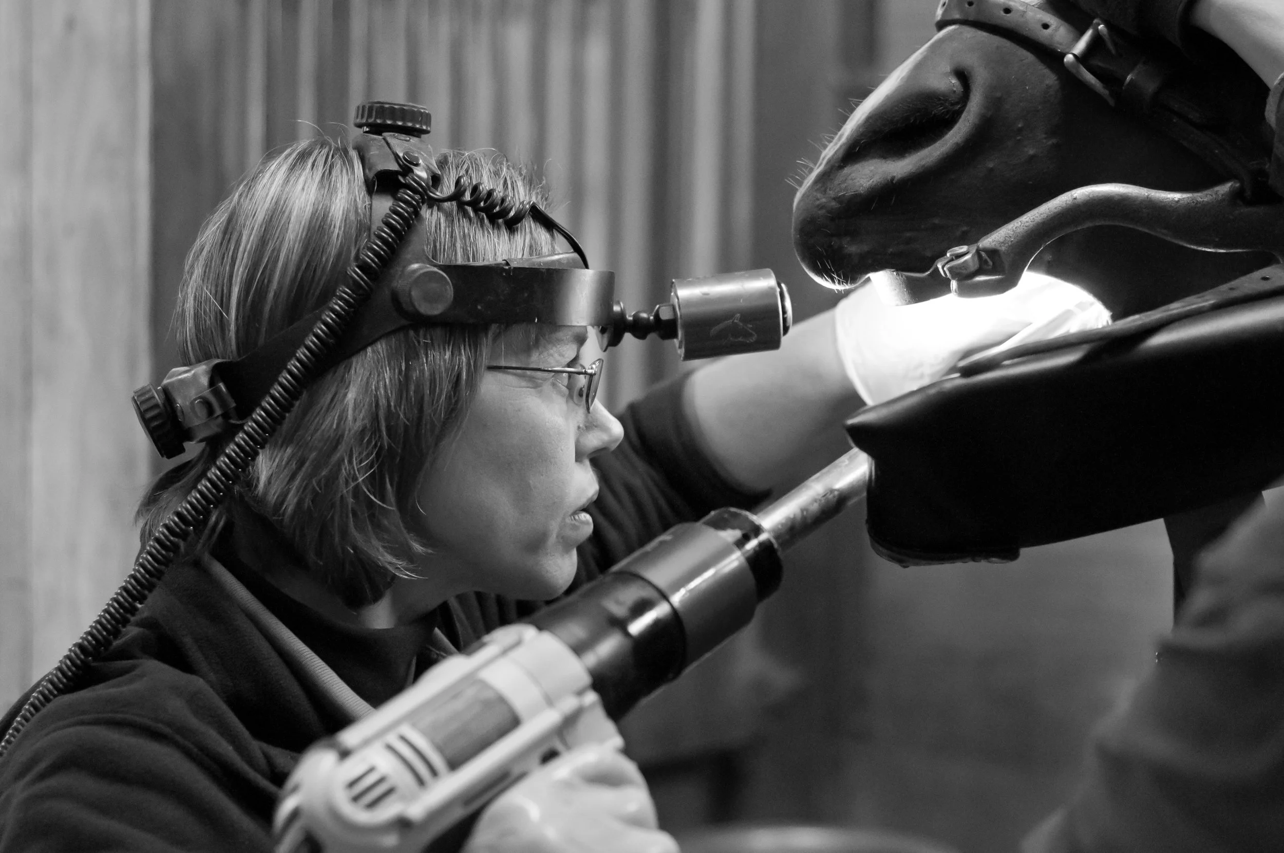 Dr. Nesson using a PowerFloat and full mouth speculum.