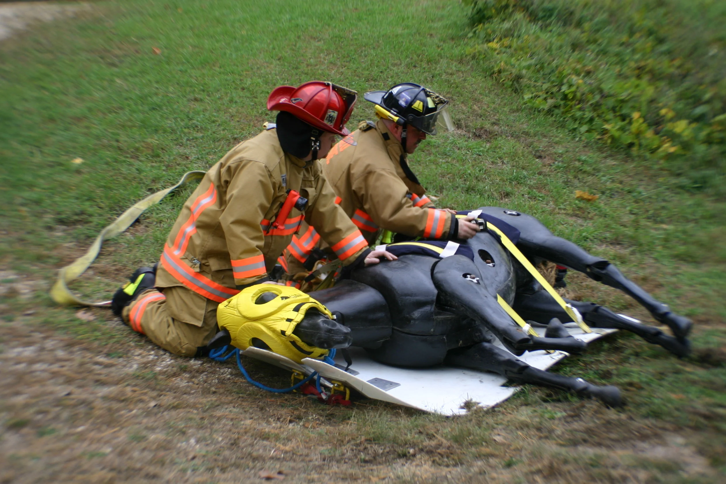 Helping a Downed Horse