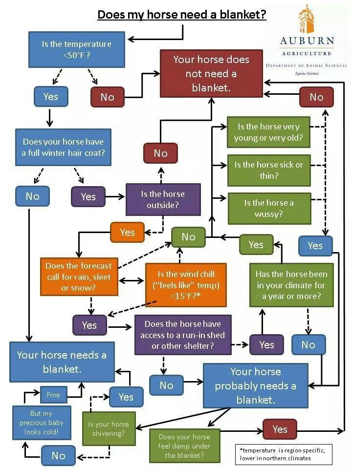 When To Blanket Your Horse Chart