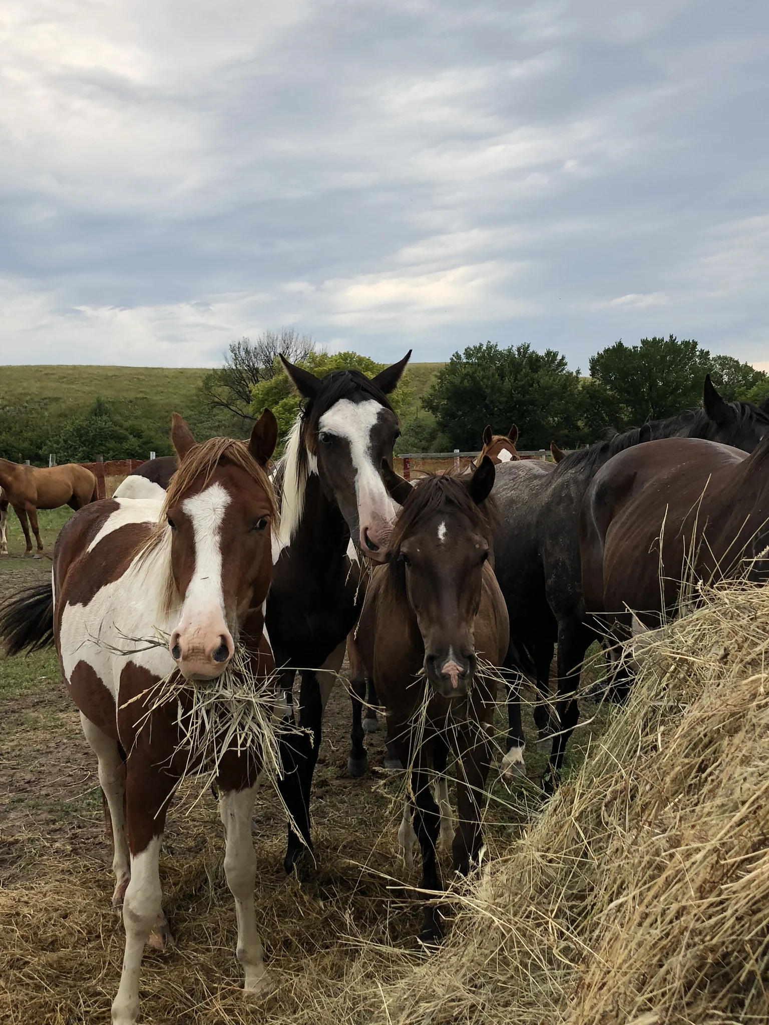A Pine Ridge Recap