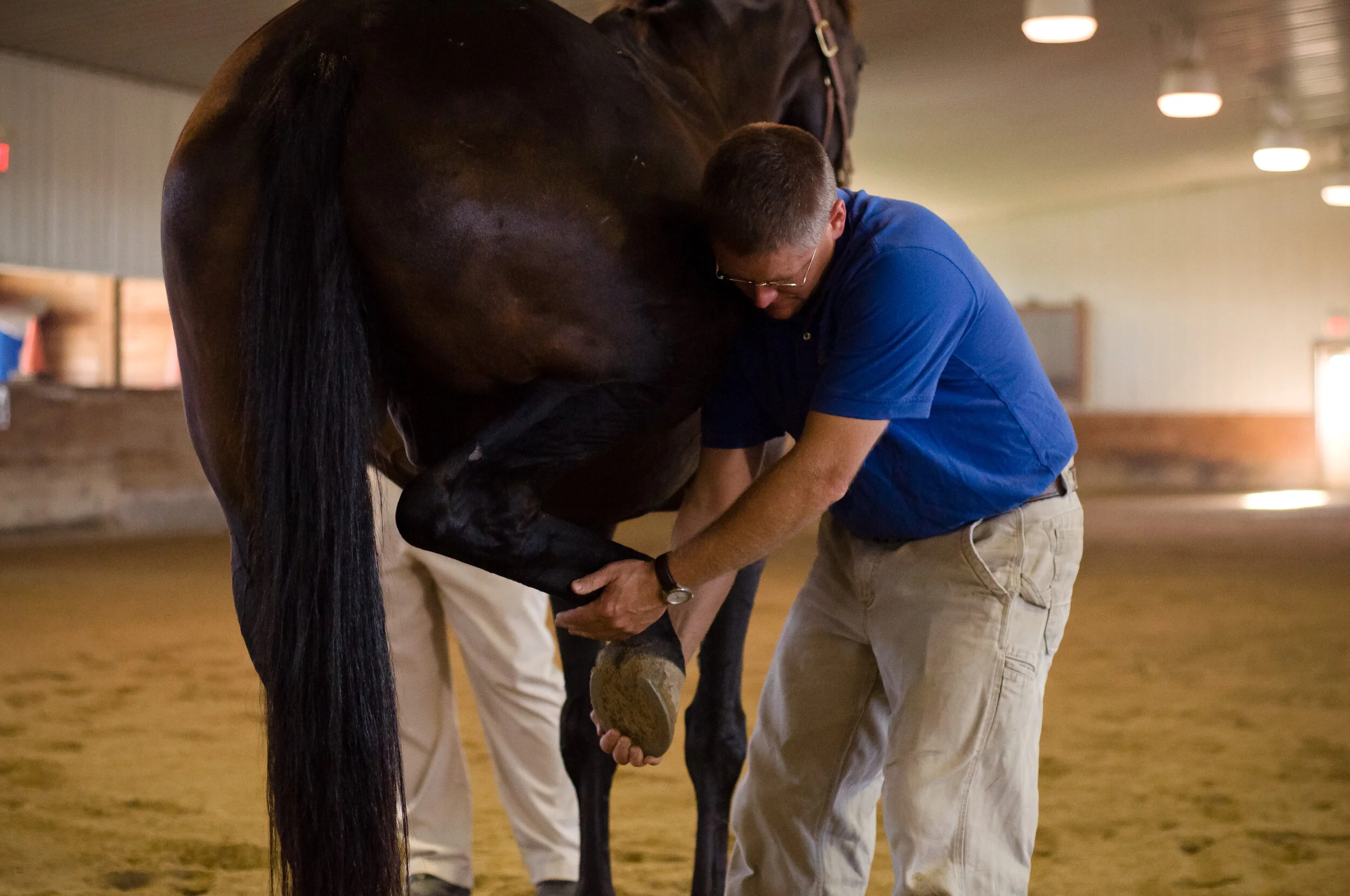 Irongate Equine Clinic irongate-equine-clinic