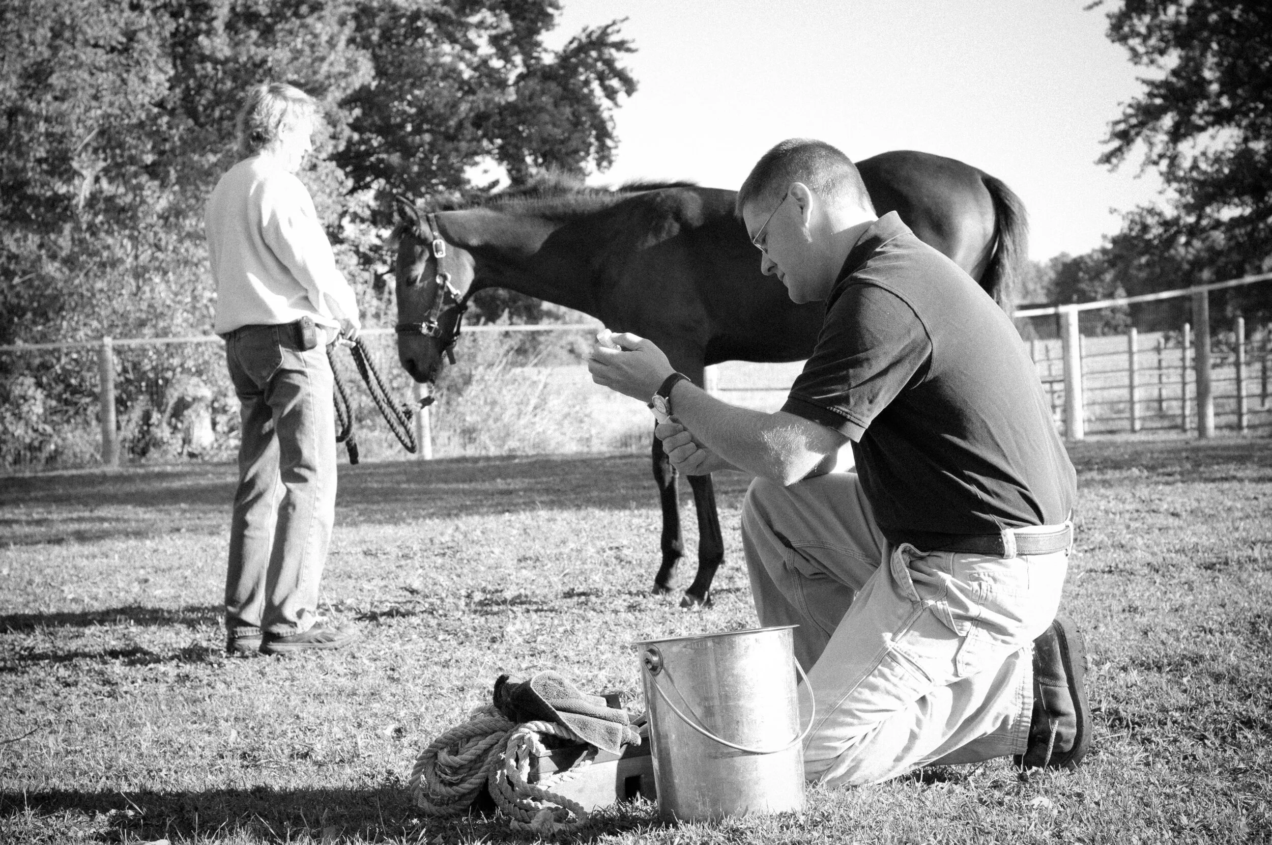 Irongate Equine Clinic