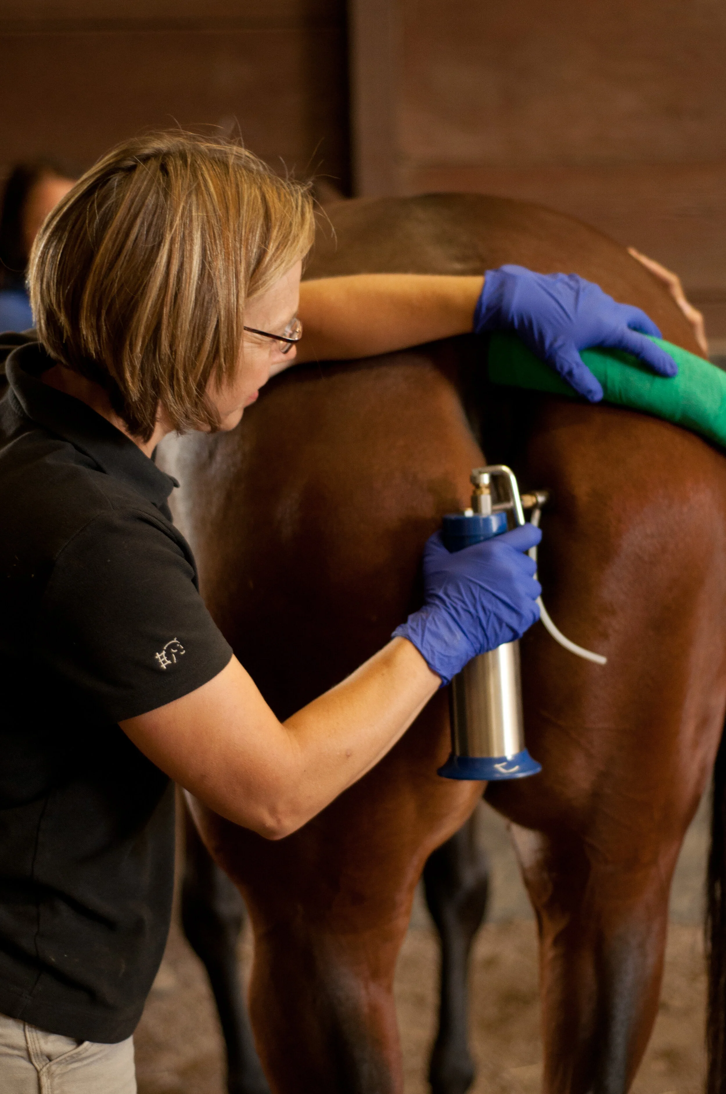 Irongate Equine Clinic irongate-equine-clinic