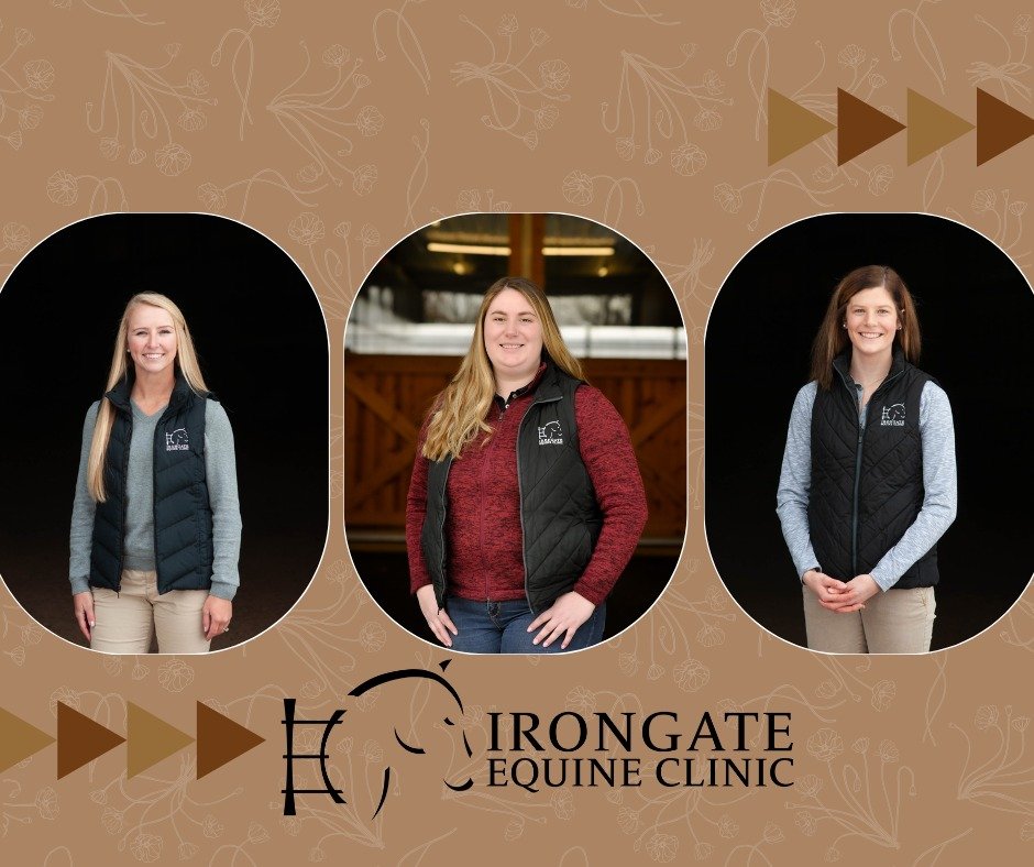 #teamtuesday 

It's National Veterinary Receptionist Appreciation Week! We wanted to express how grateful we are for Lauren, Leslie, and Cheyenne and their hard work and dedication.

We're so thankful to have each of you on our team as Client Care Sp
