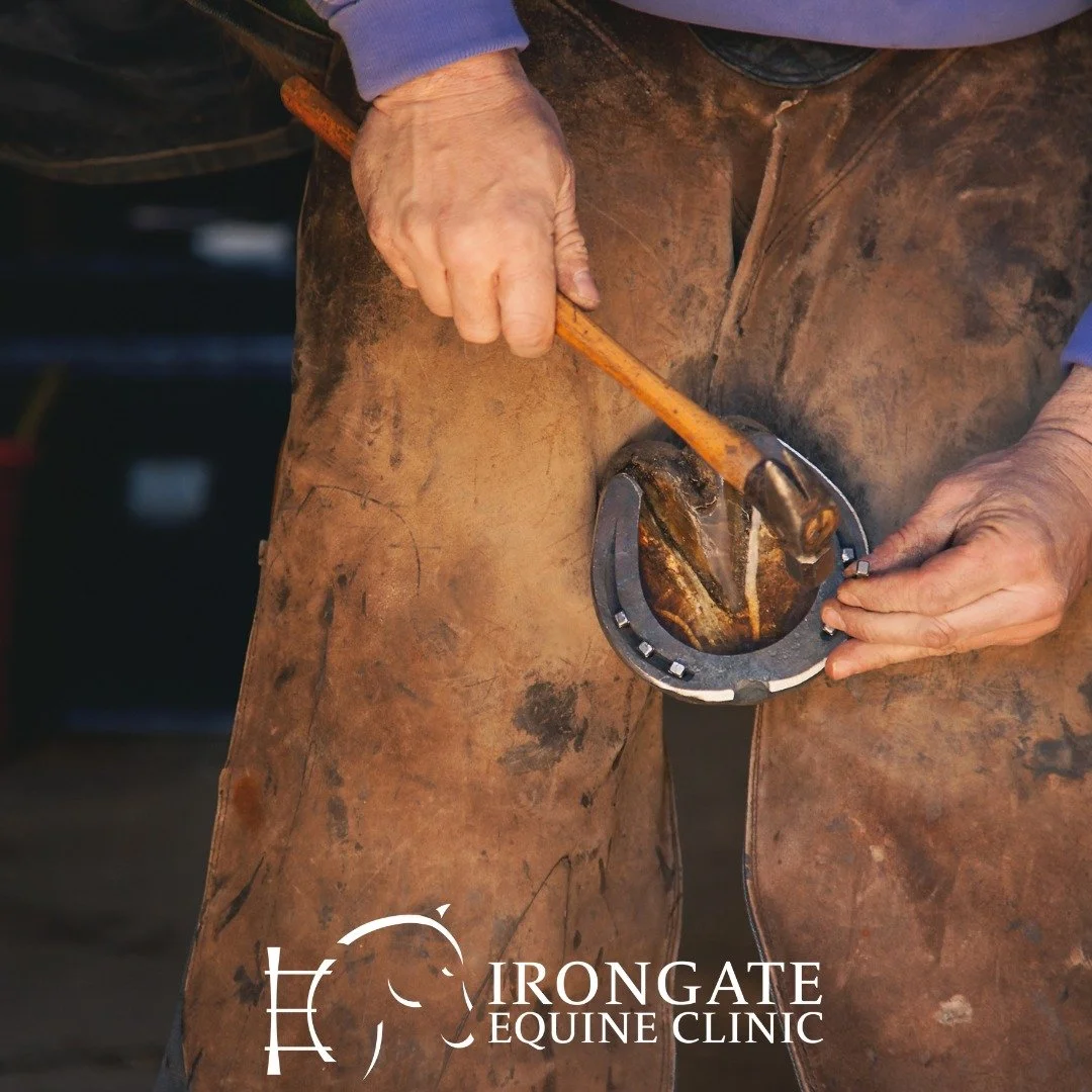 To all the hard-working farriers out there, Happy National Farriers Week! Thank you for all you do for our equids!

#Farriers #EquineHoofHealth #NationalFarriersWeek #HerdCare #ThankAFarrier #horsehealth #horsehoofcare
