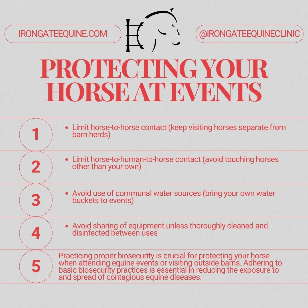 With the hope that many of our clients are traveling to shows, county fairs &amp; other parts of the country this year, we have provided a great reminder of the importance of Equine Biosecurity: 

#horseshow #equinebiosecurity #horsehealth #horsesafe