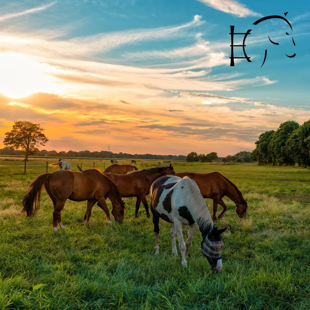 During summer, horses spend more time in pastures, increasing their risk of slaframine toxicosis, also known as &quot;the slobbers.&quot; This condition can be alarming if unfamiliar.

Slaframine is produced by the fungus *Rhizoctonia leguminicola* (